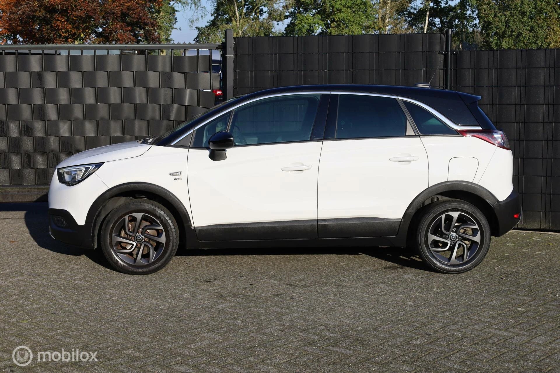 Hoofdafbeelding Opel Crossland X