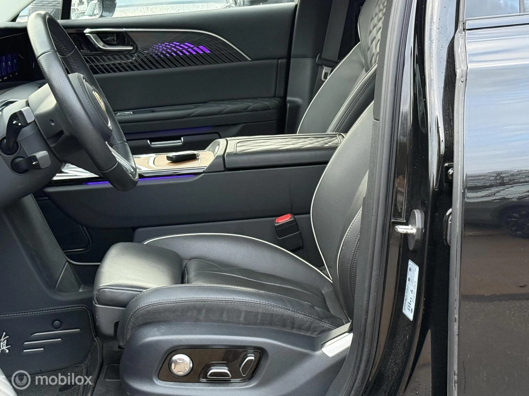 Hoofdafbeelding Hongqi E-HS9