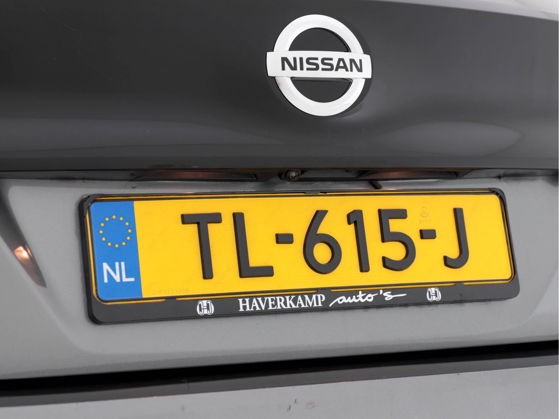 Hoofdafbeelding Nissan Leaf