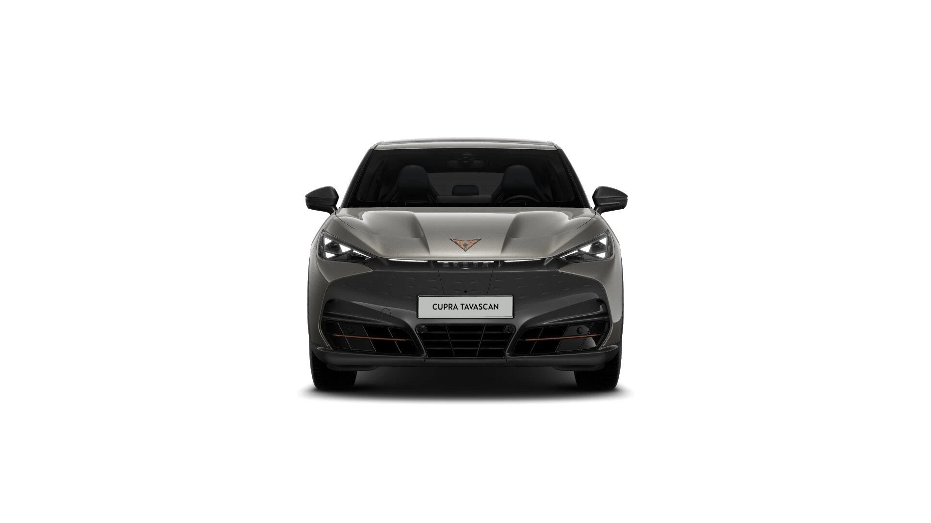 Hoofdafbeelding CUPRA Tavascan