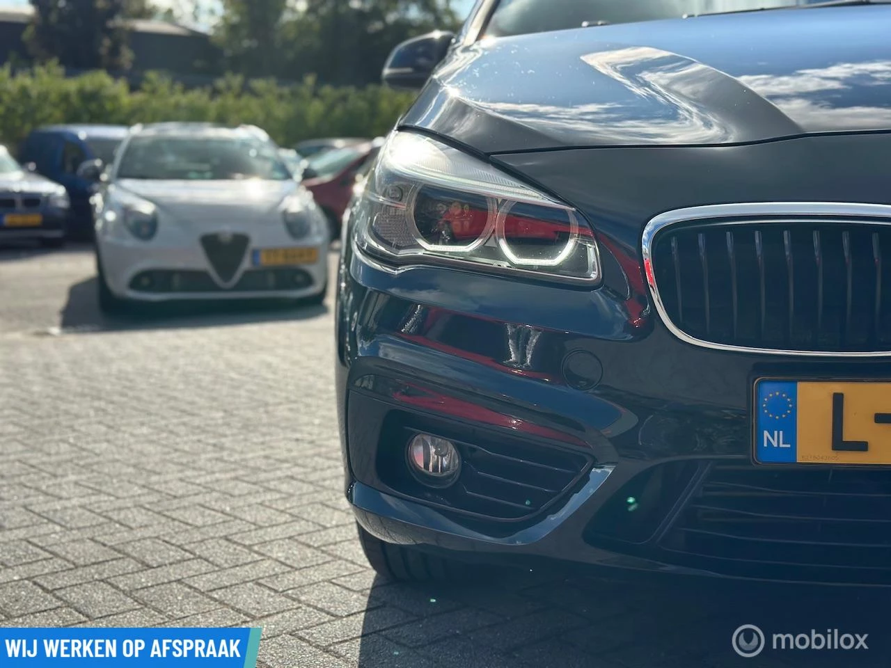 Hoofdafbeelding BMW 2 Serie