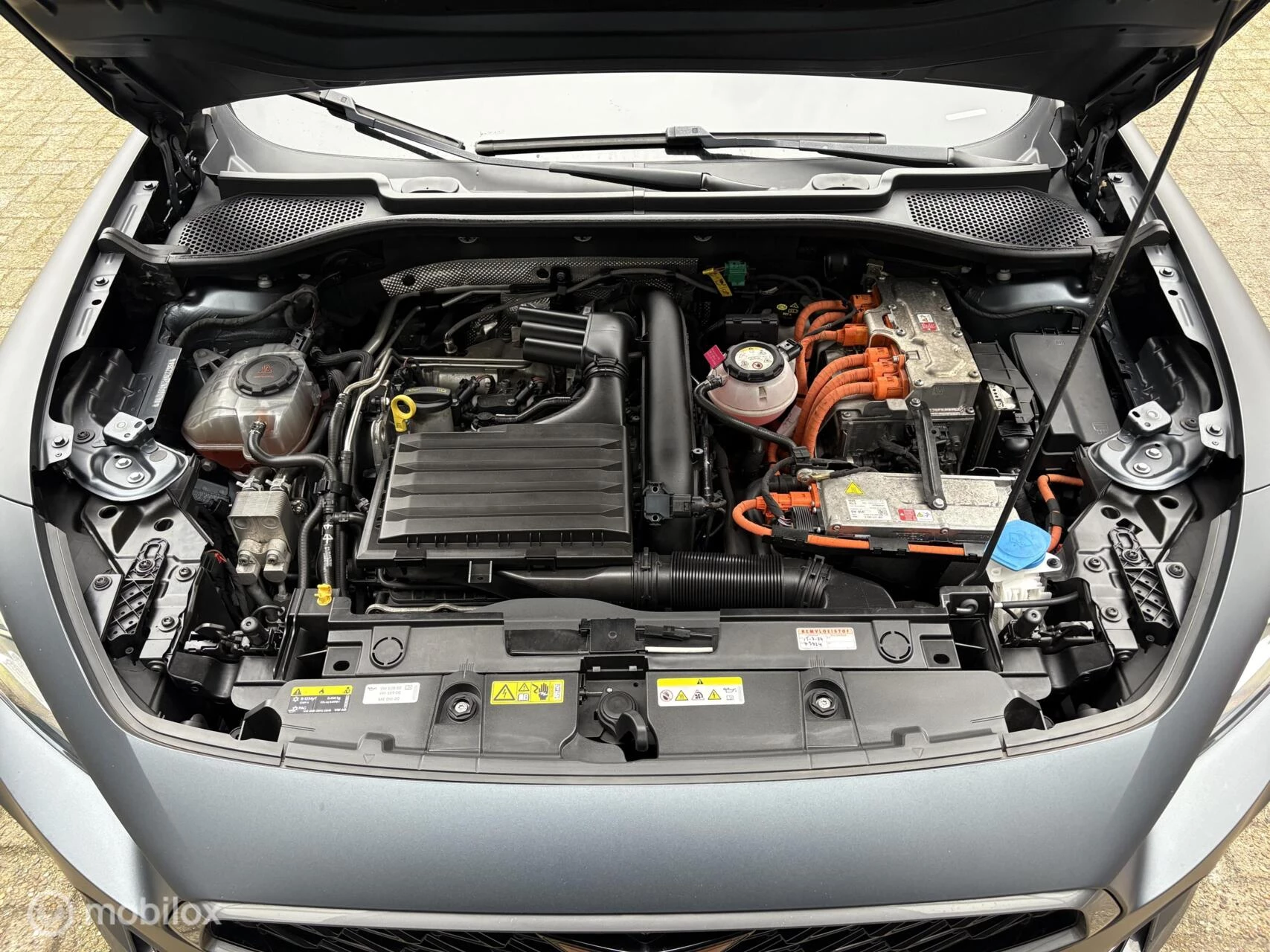 Hoofdafbeelding CUPRA Formentor