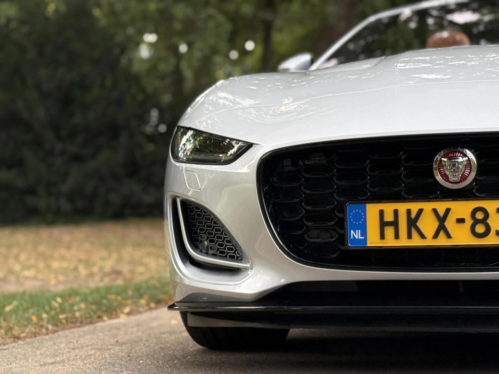 Hoofdafbeelding Jaguar F-Type