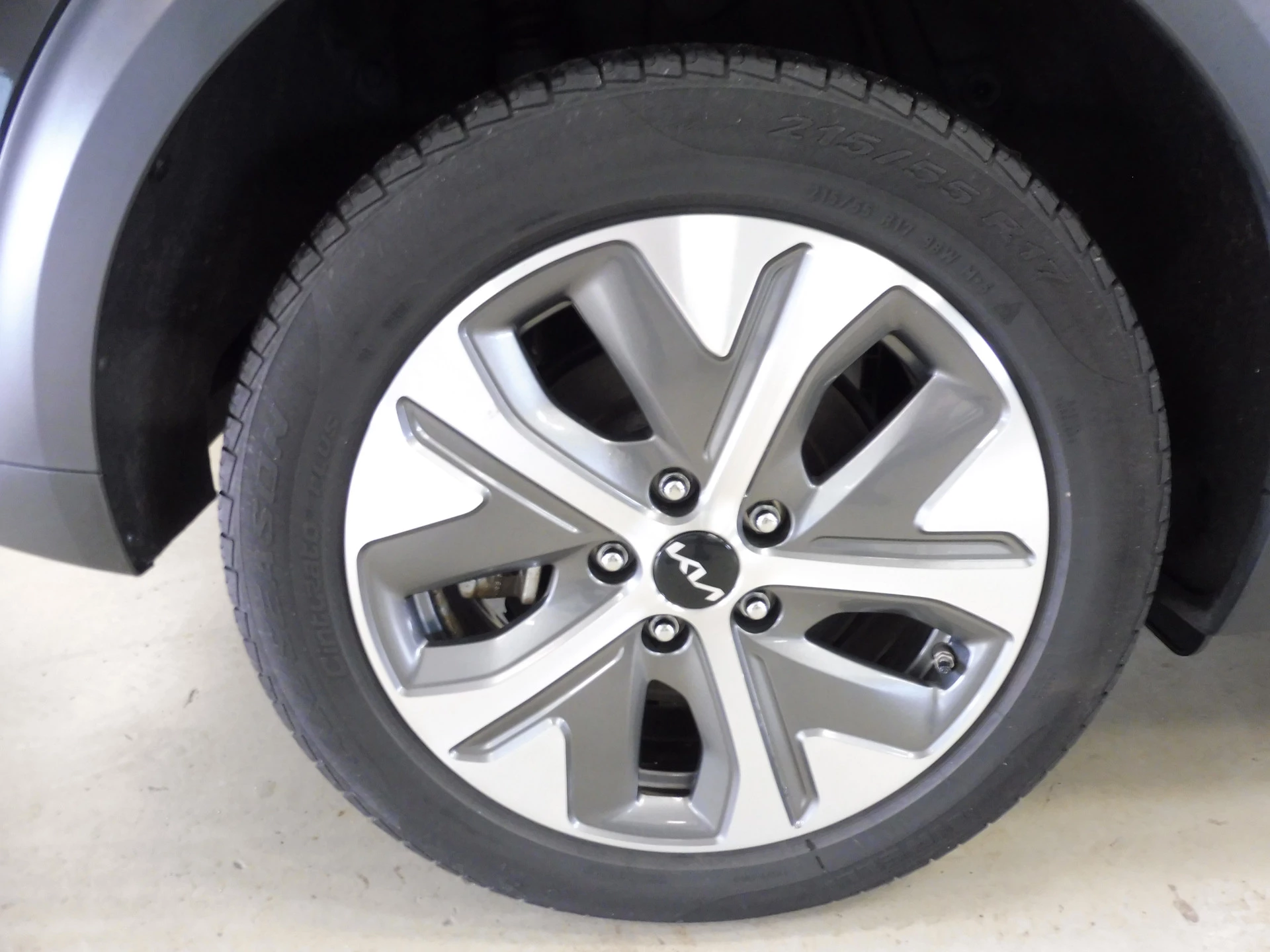 Hoofdafbeelding Kia e-Niro