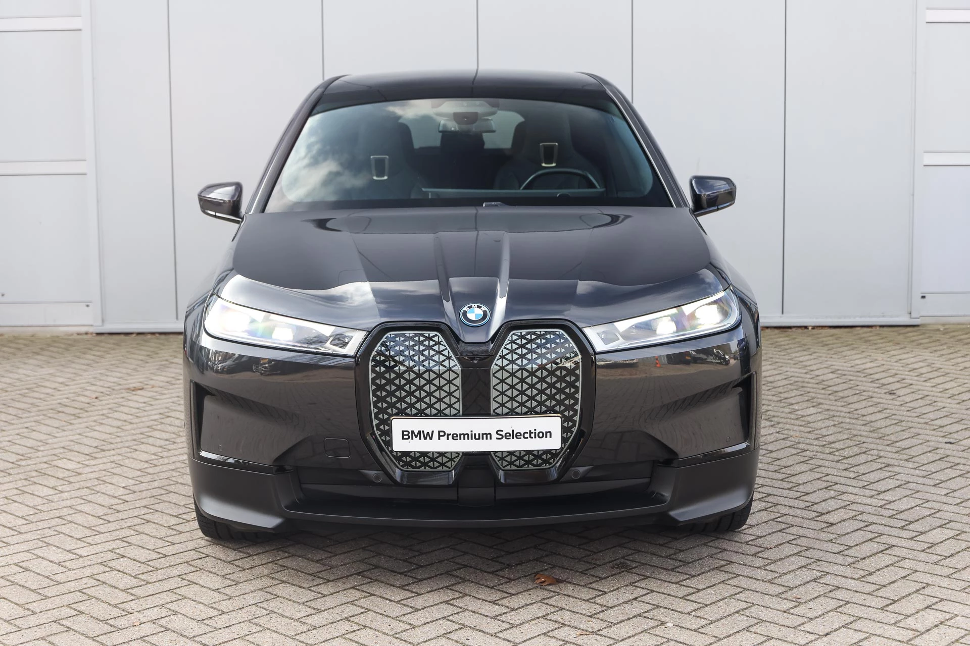 Hoofdafbeelding BMW iX