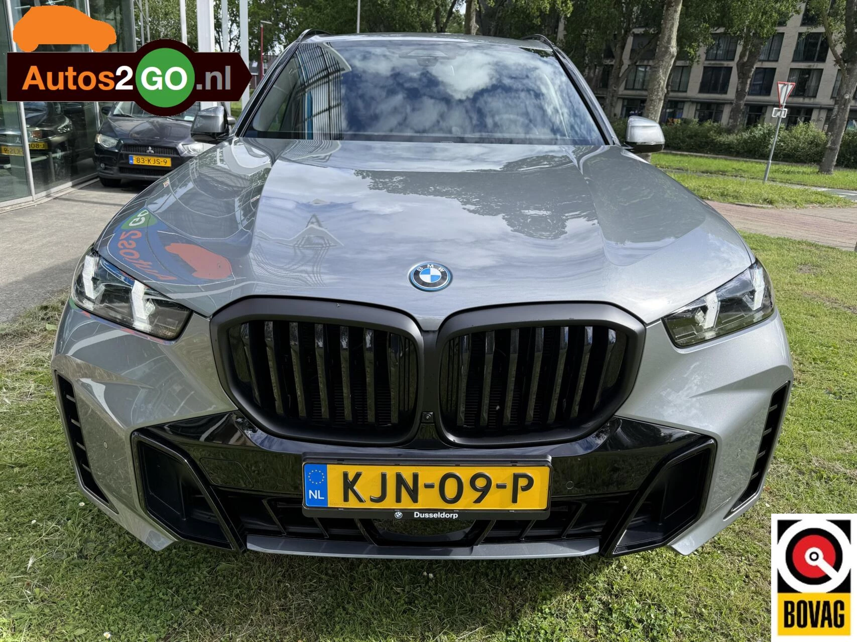Hoofdafbeelding BMW X5