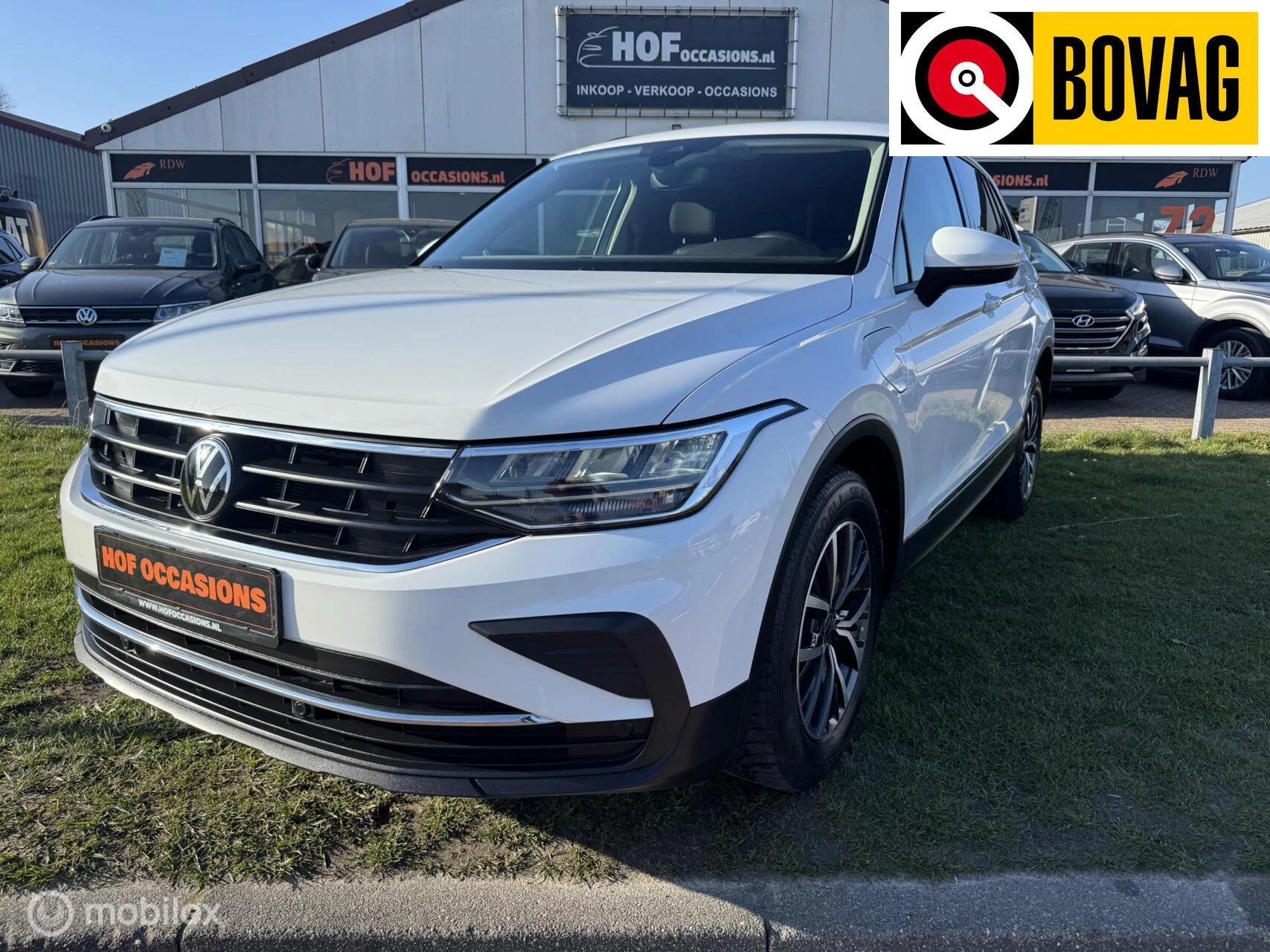 Hoofdafbeelding Volkswagen Tiguan