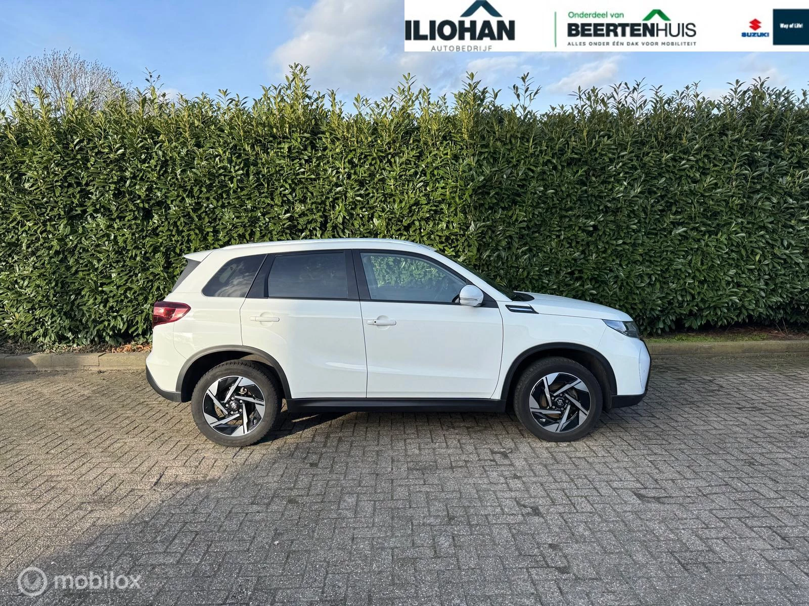 Hoofdafbeelding Suzuki Vitara