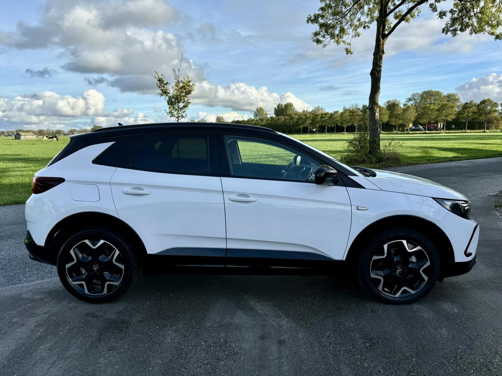 Hoofdafbeelding Opel Grandland