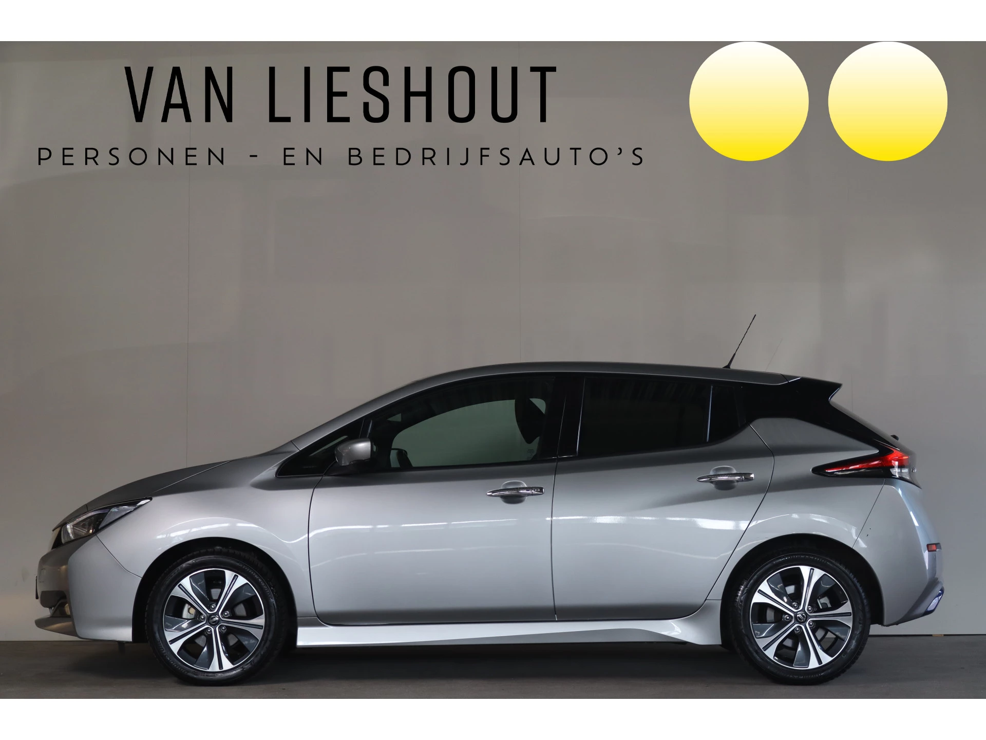 Hoofdafbeelding Nissan Leaf