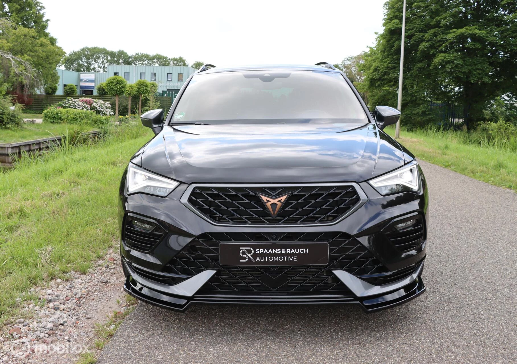 Hoofdafbeelding CUPRA Ateca