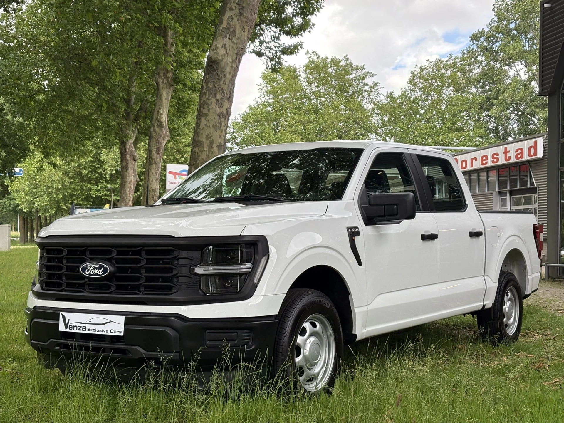 Hoofdafbeelding Ford F-150