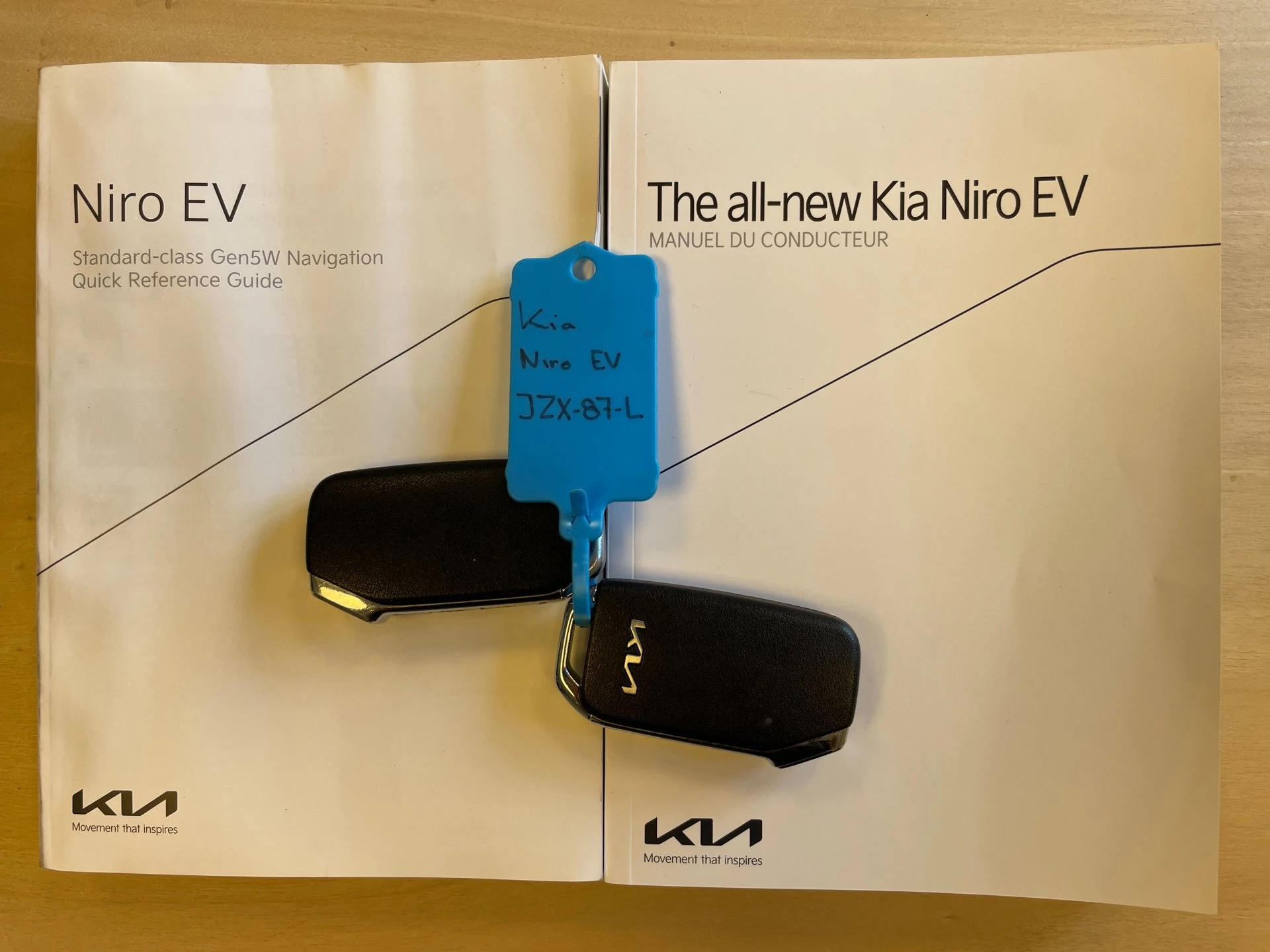 Hoofdafbeelding Kia Niro EV