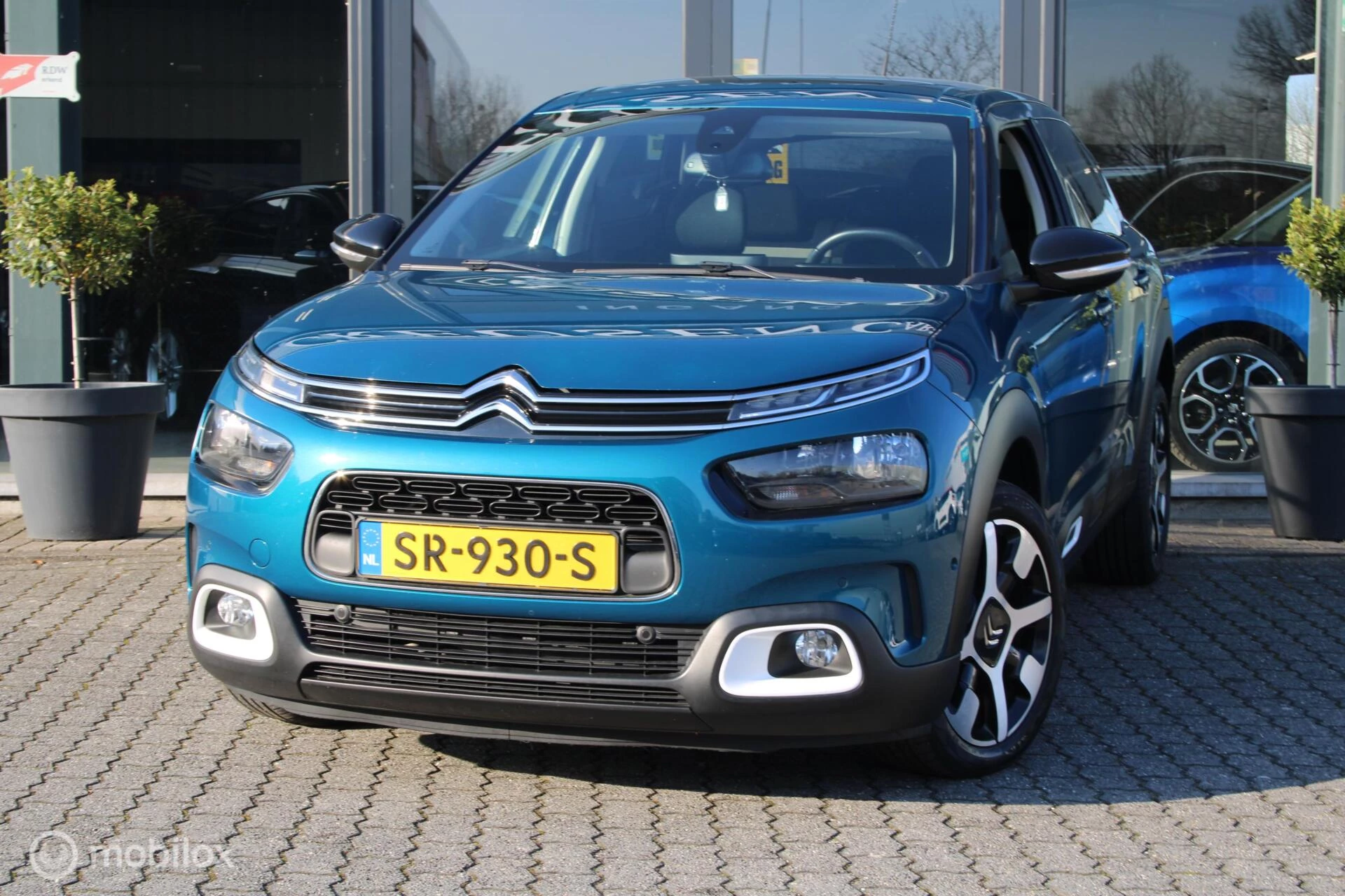 Hoofdafbeelding Citroën C4 Cactus