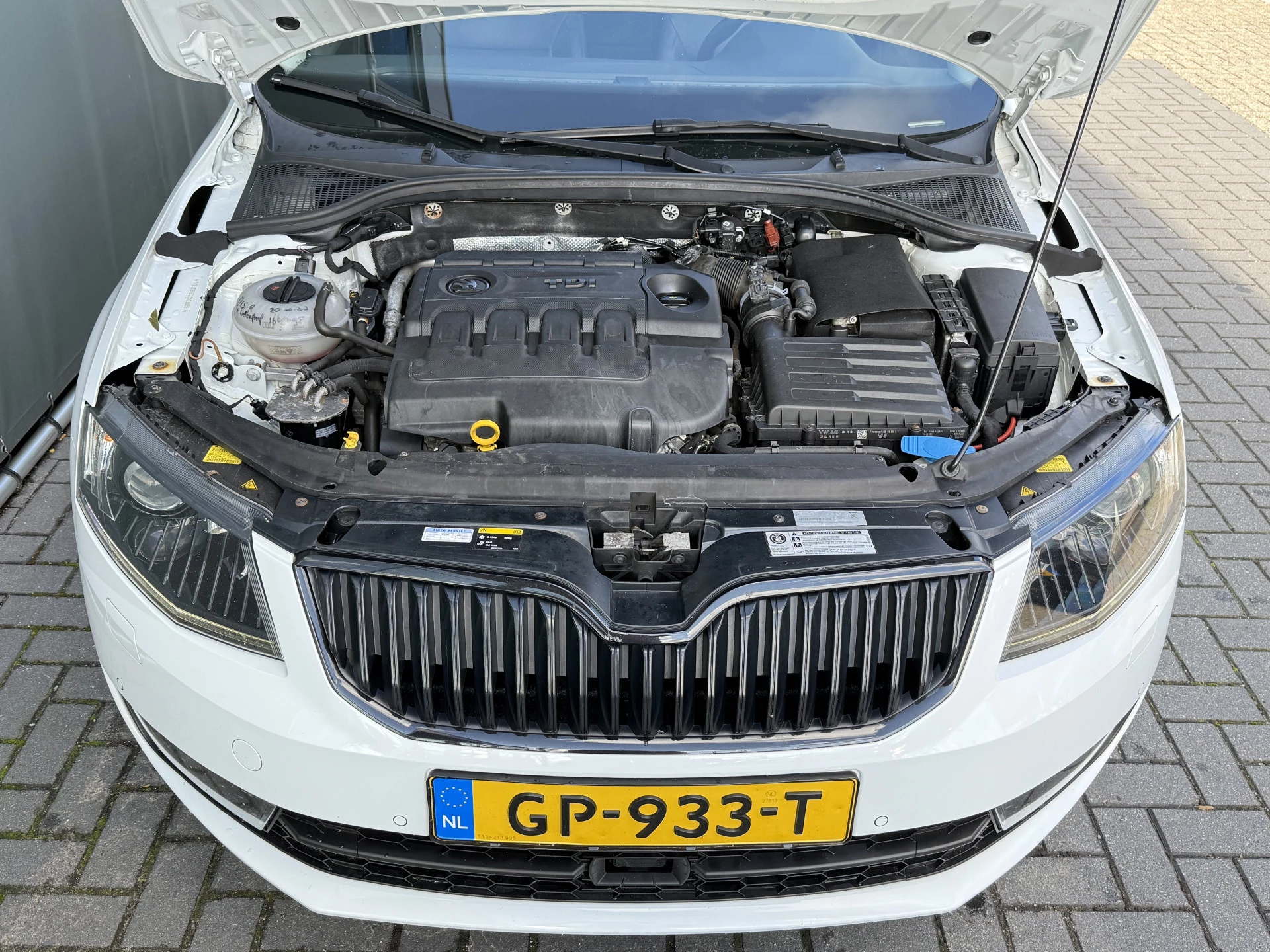 Hoofdafbeelding Škoda Octavia