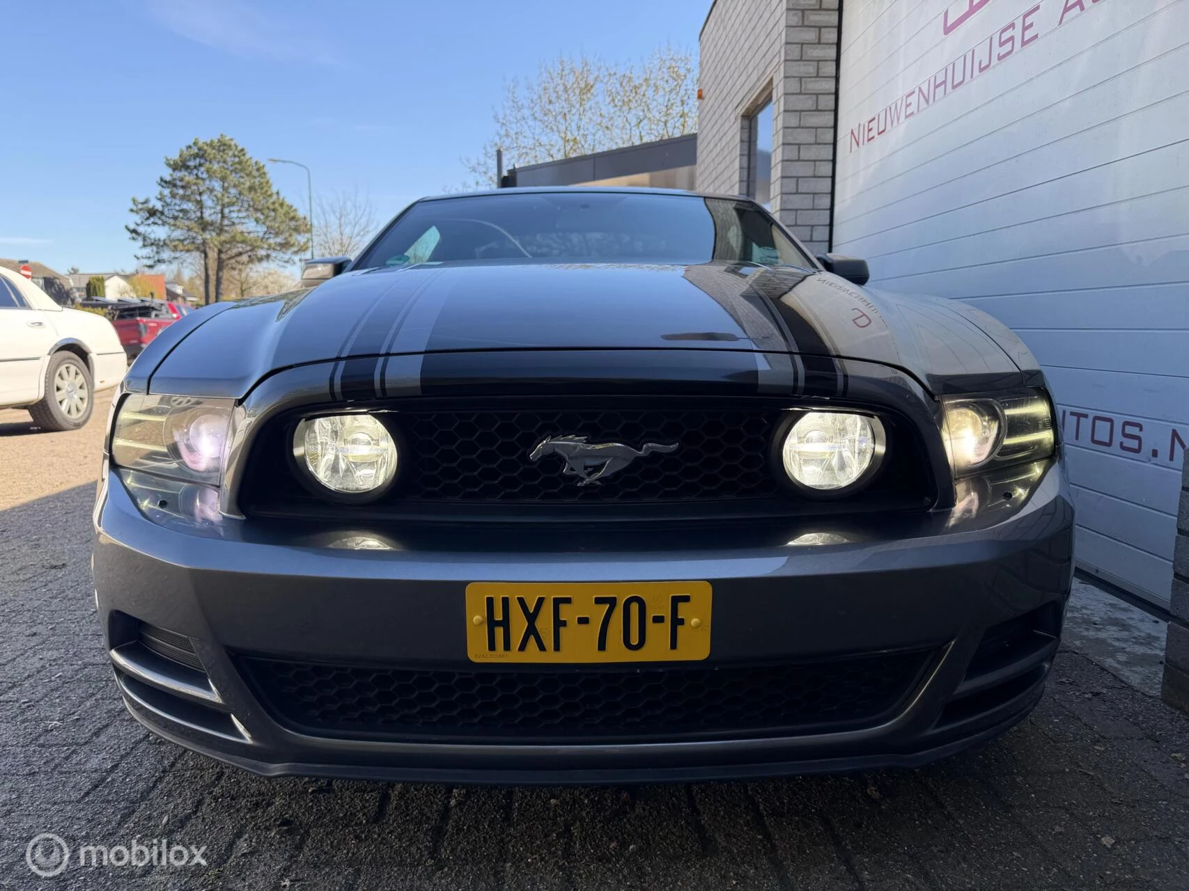 Hoofdafbeelding Ford Mustang