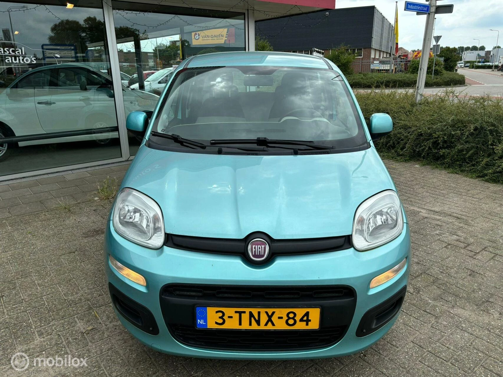 Hoofdafbeelding Fiat Panda