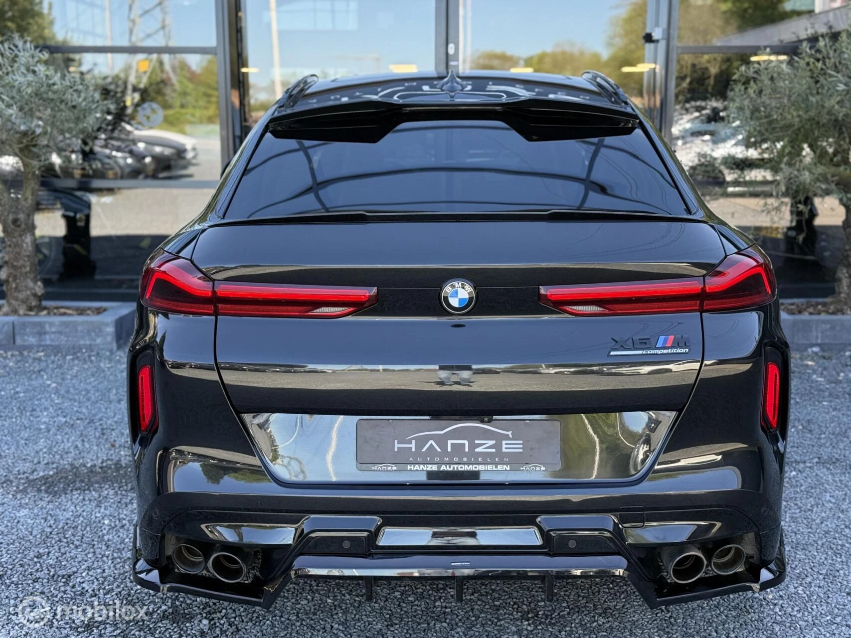 Hoofdafbeelding BMW X6