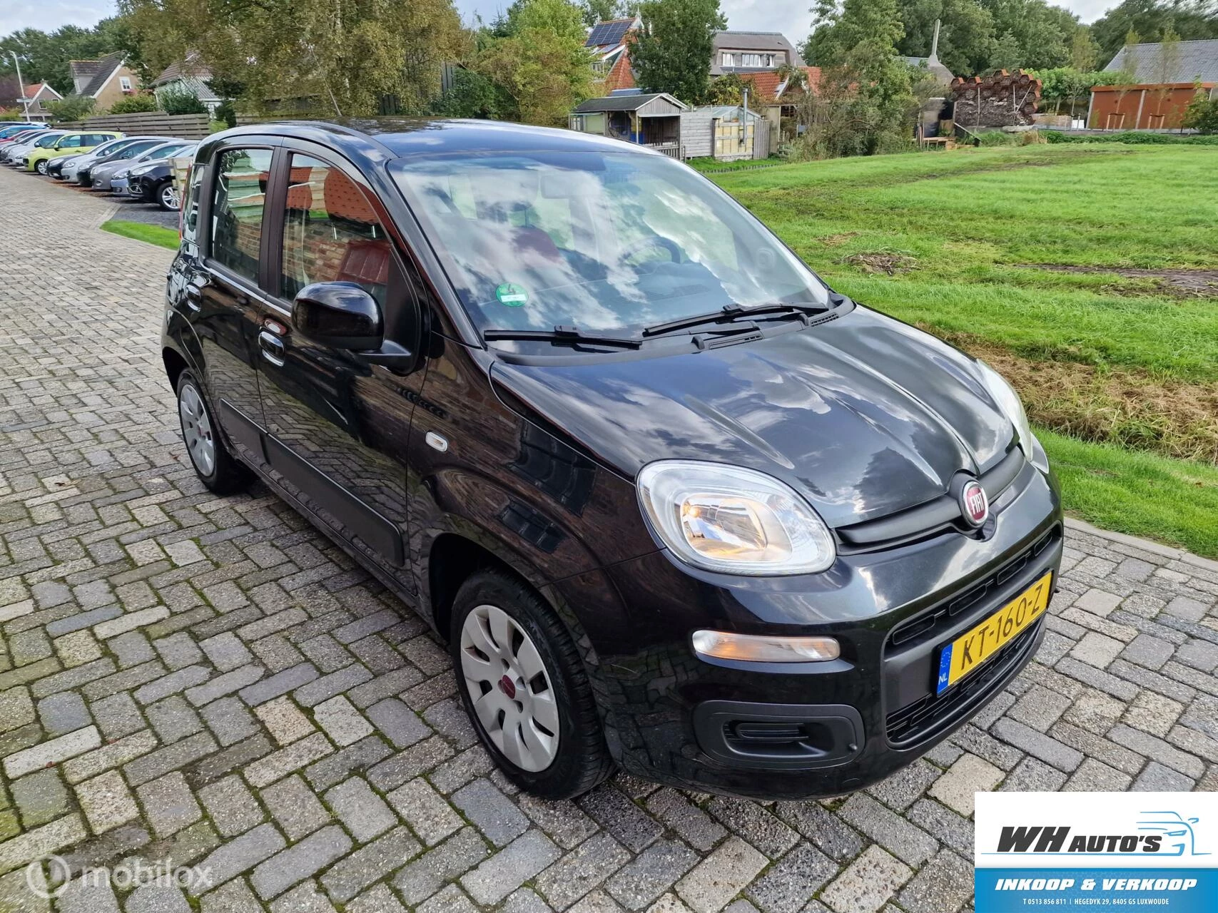 Hoofdafbeelding Fiat Panda