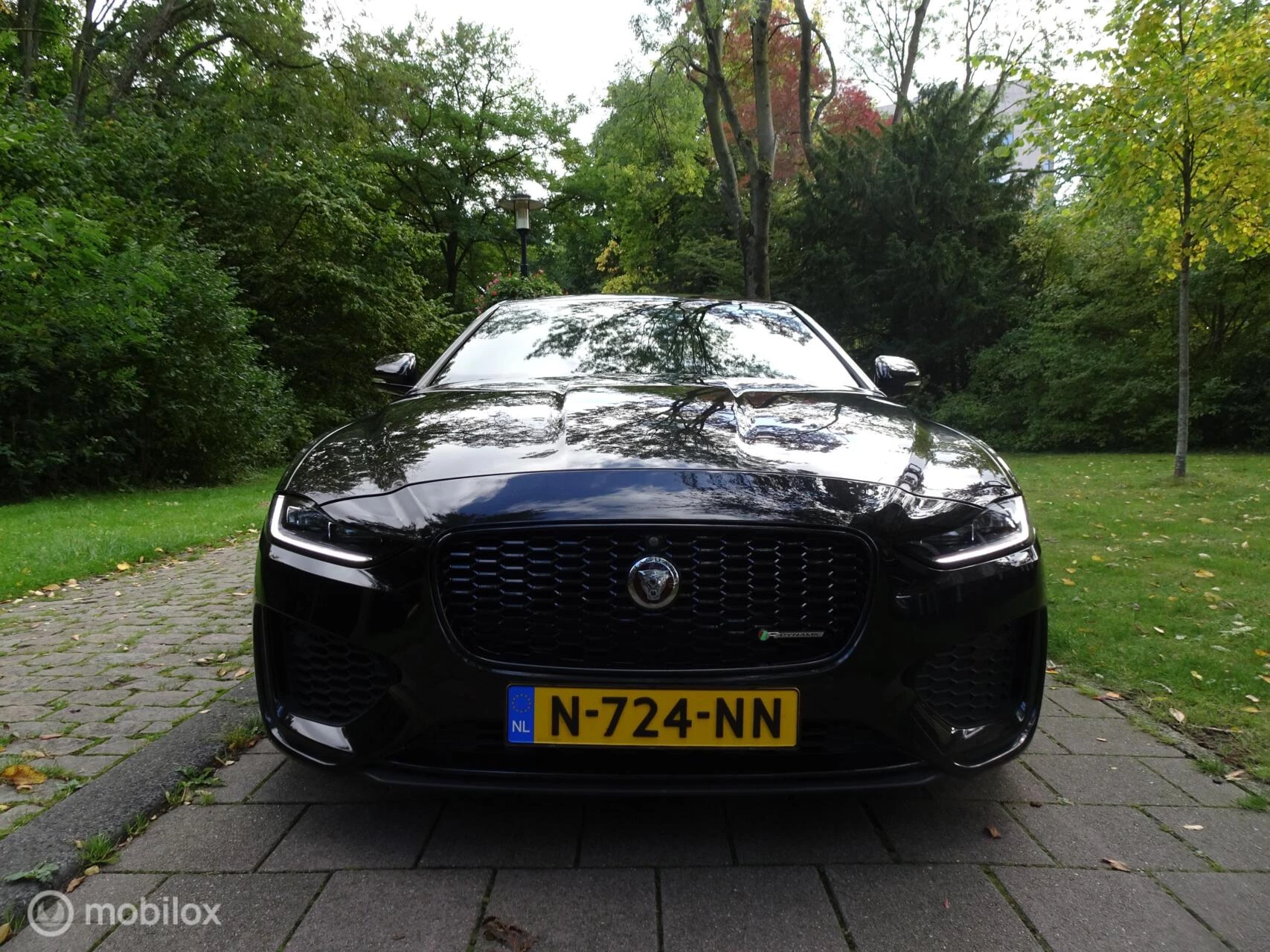 Hoofdafbeelding Jaguar XE