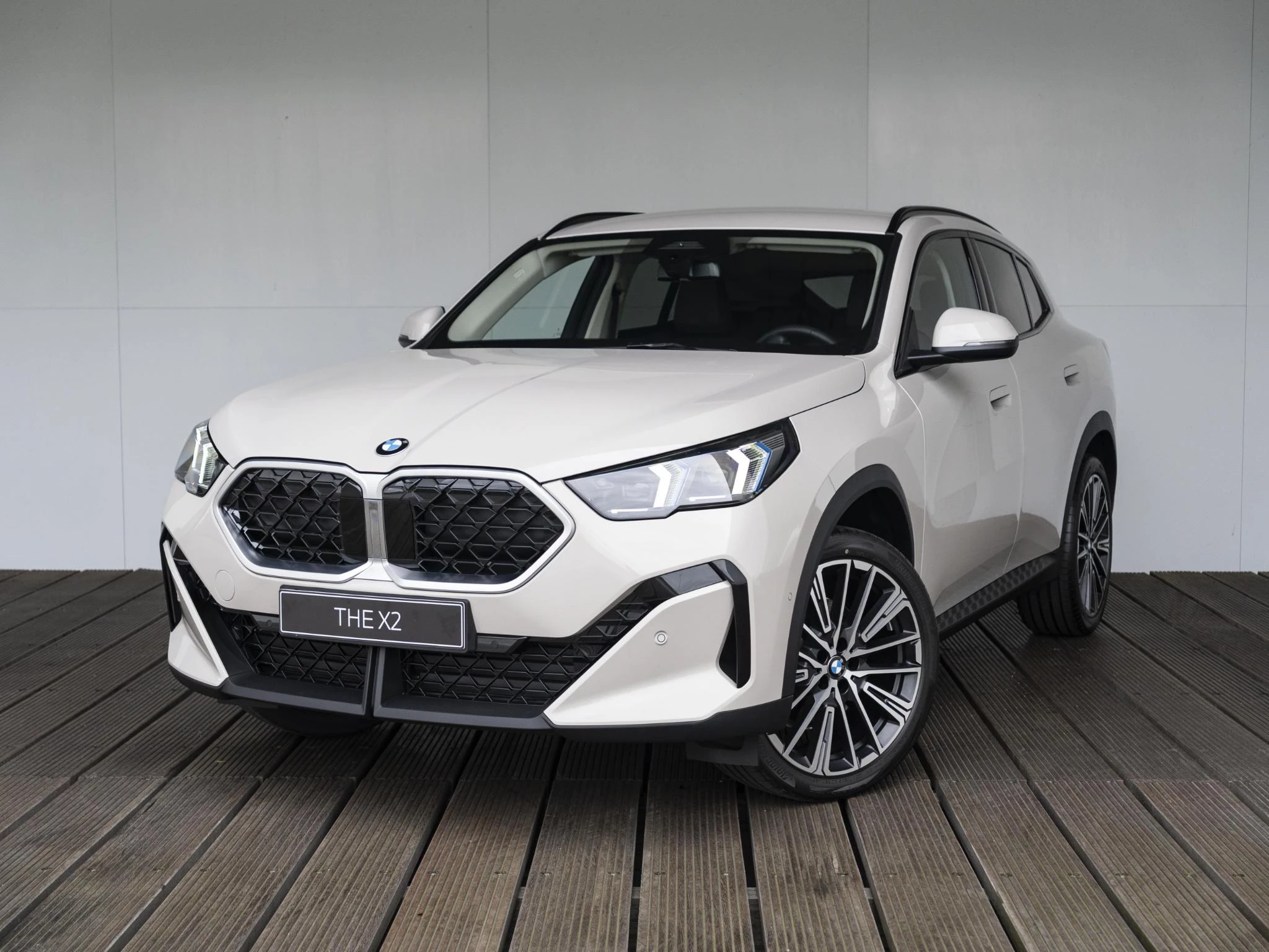 Hoofdafbeelding BMW X2
