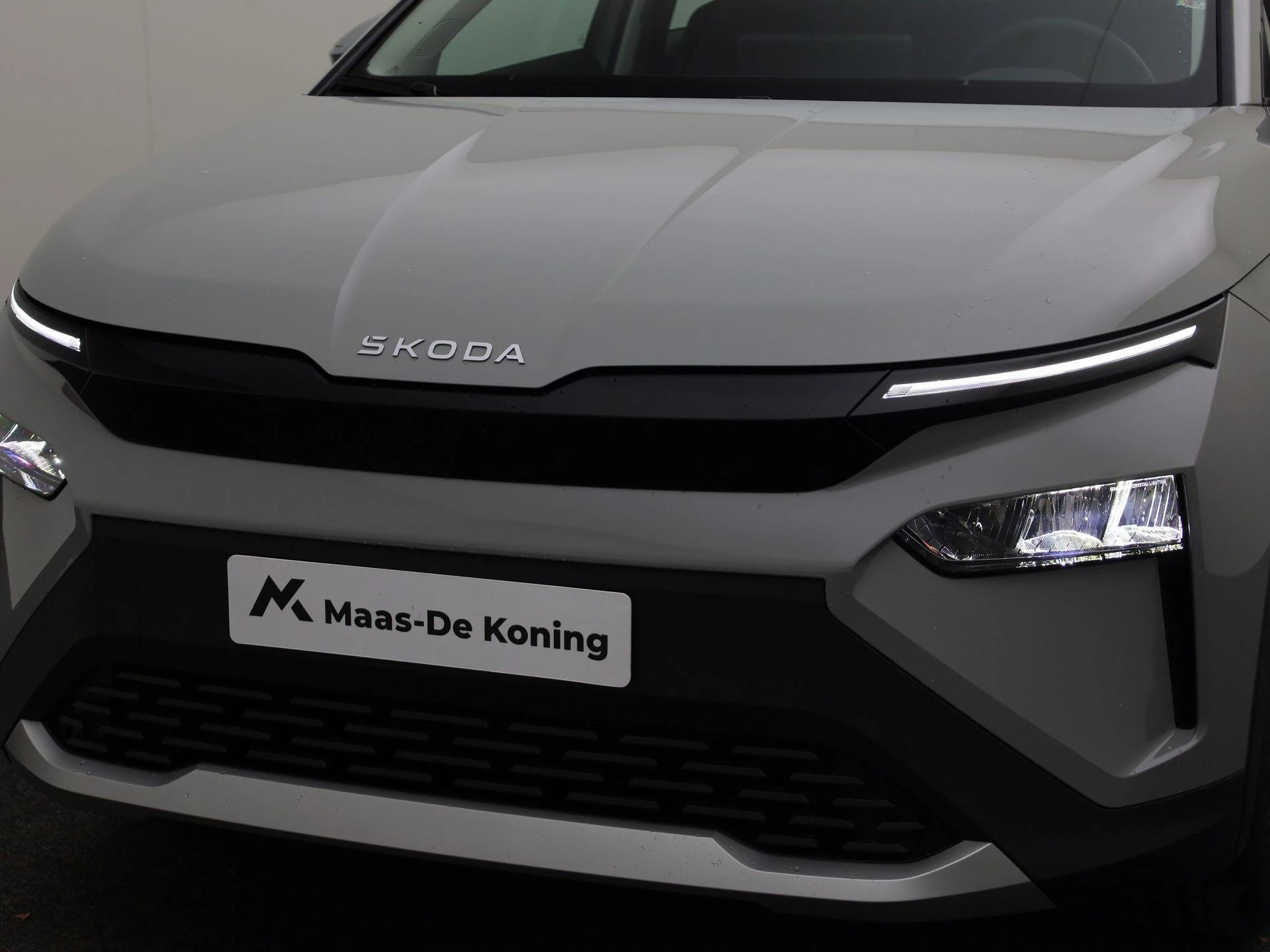 Hoofdafbeelding Škoda Elroq