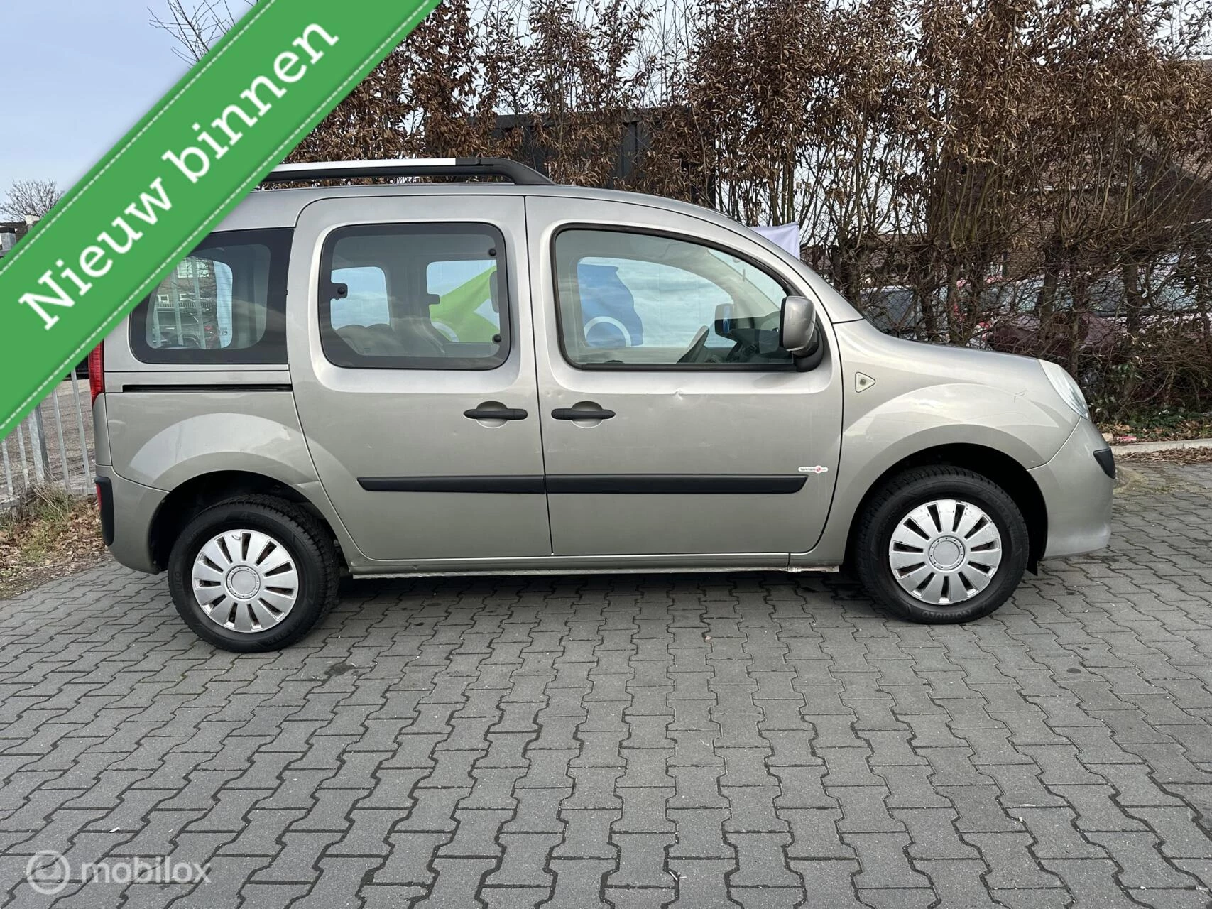 Hoofdafbeelding Renault Kangoo