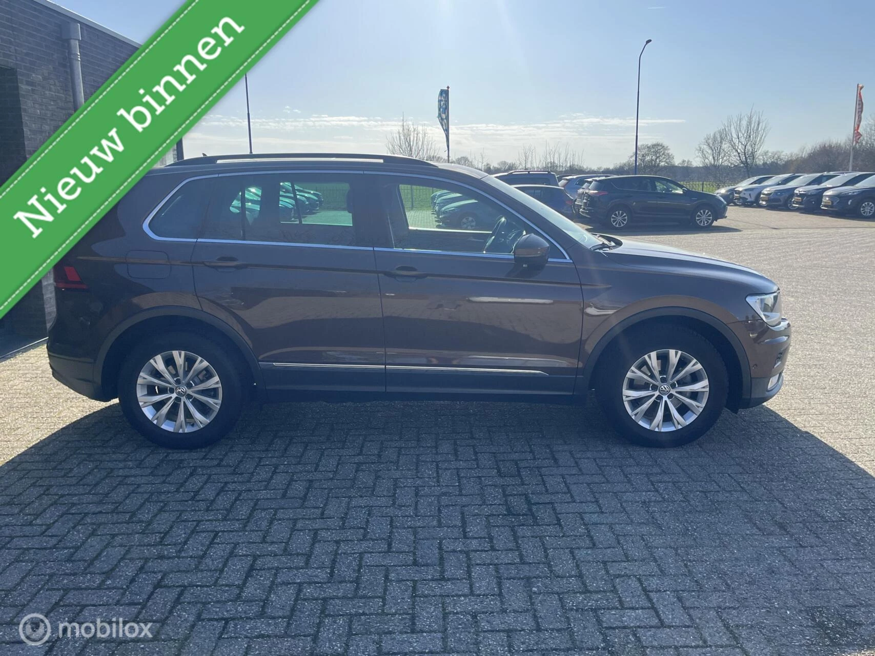 Hoofdafbeelding Volkswagen Tiguan