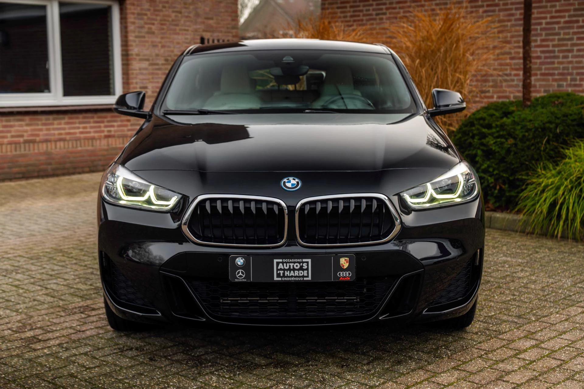 Hoofdafbeelding BMW X2