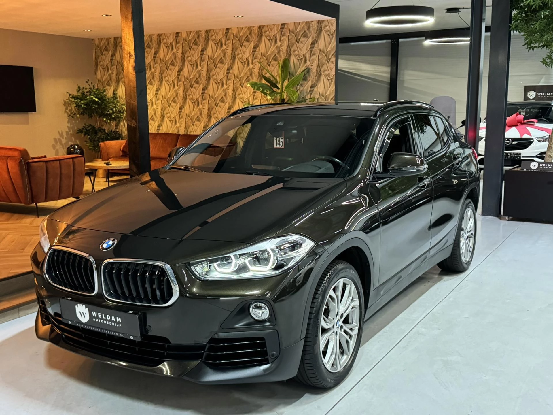 Hoofdafbeelding BMW X2