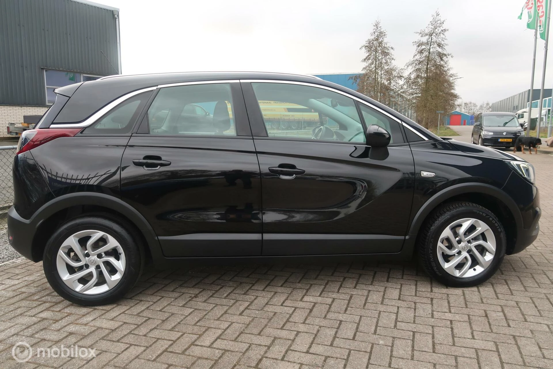 Hoofdafbeelding Opel Crossland X