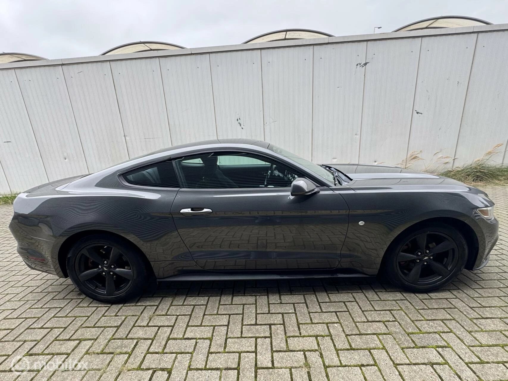 Hoofdafbeelding Ford Mustang