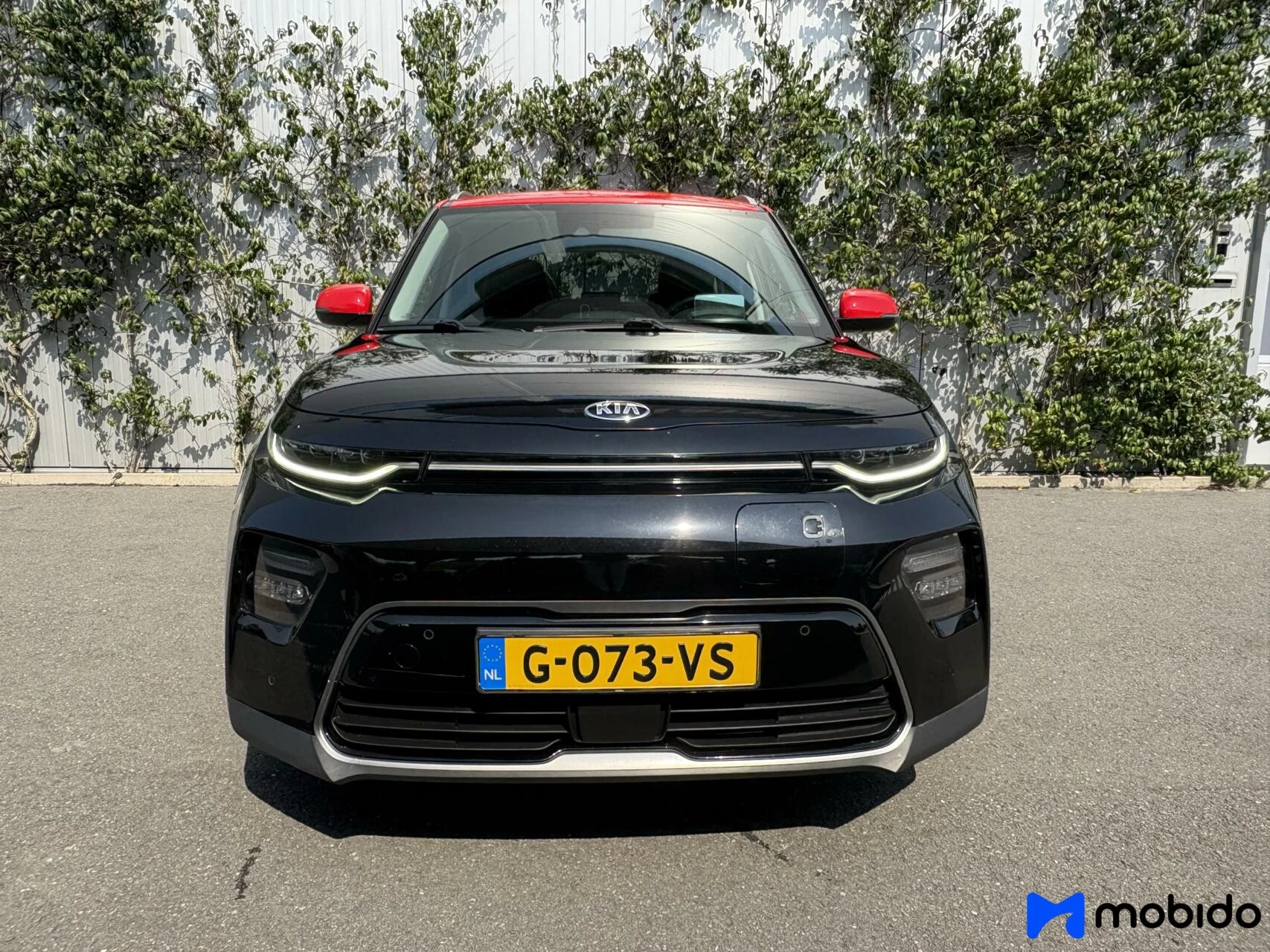 Hoofdafbeelding Kia e-Soul