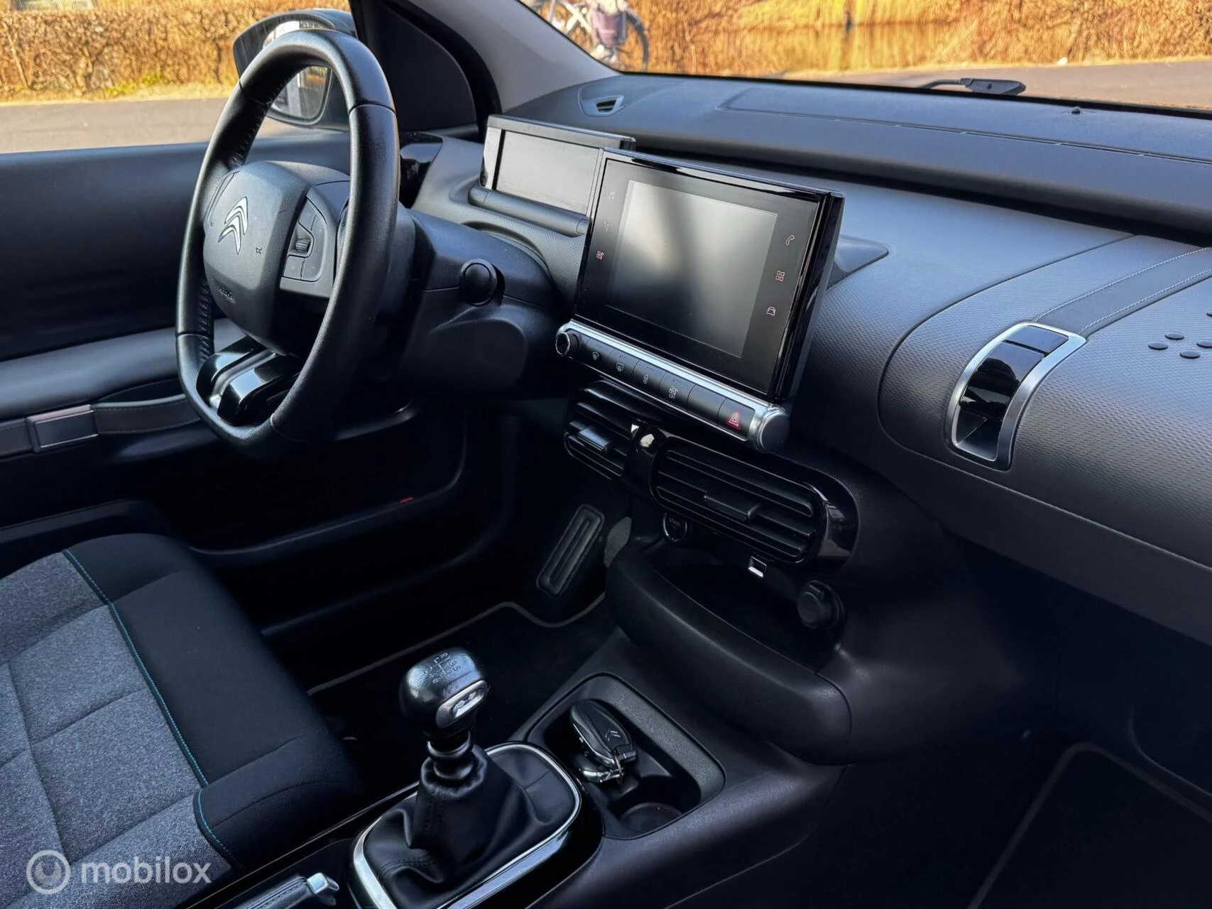 Hoofdafbeelding Citroën C4 Cactus