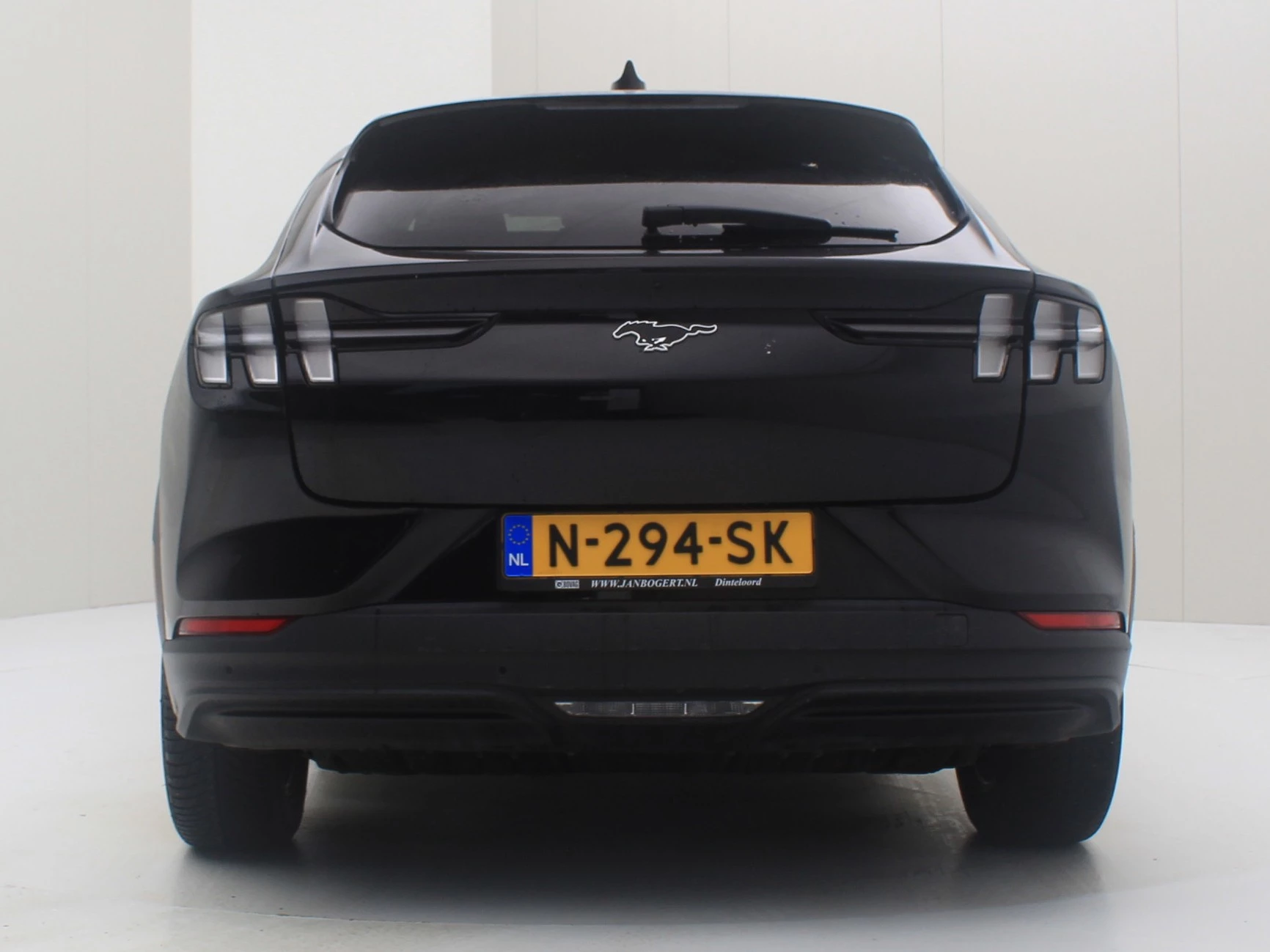 Hoofdafbeelding Ford Mustang Mach-E