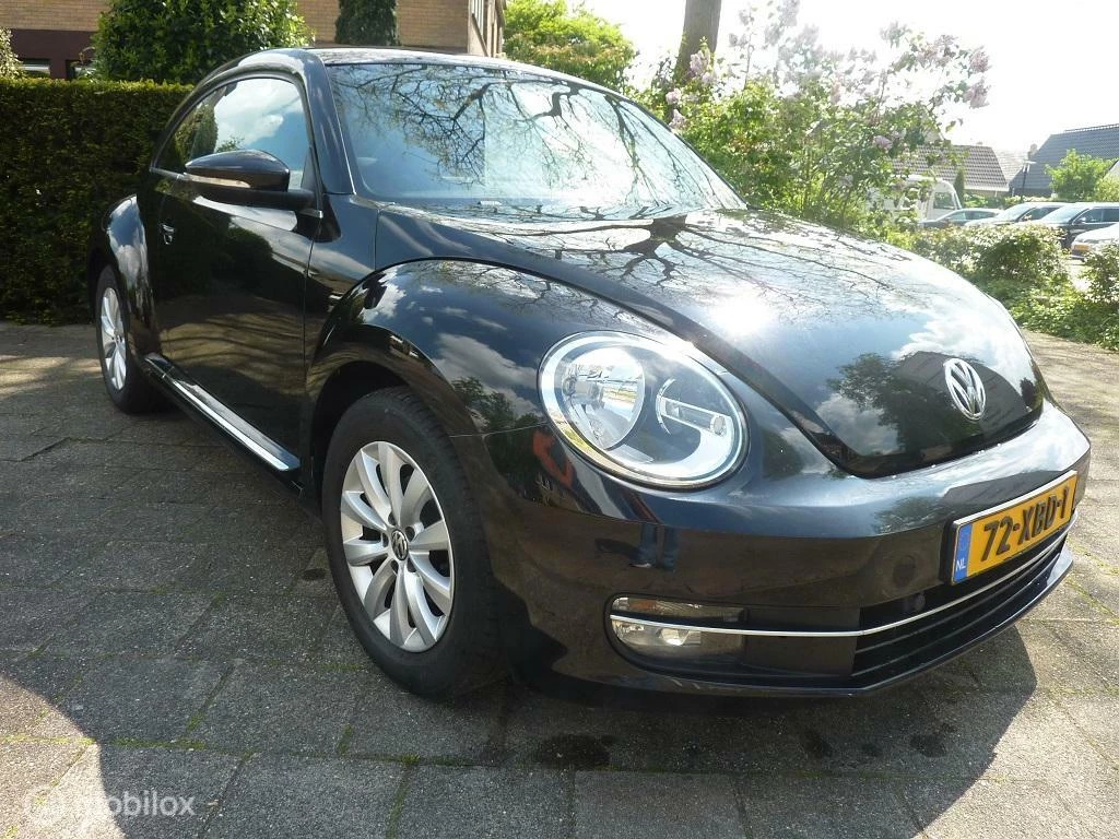 Hoofdafbeelding Volkswagen Beetle