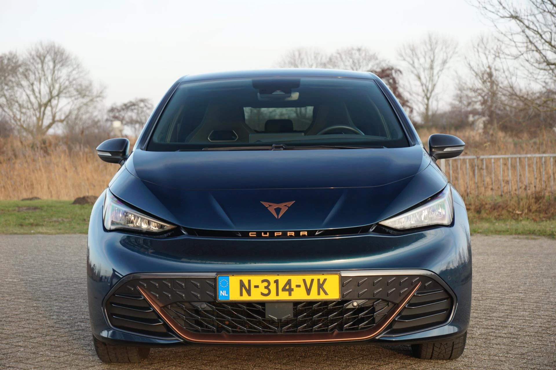 Hoofdafbeelding CUPRA Born