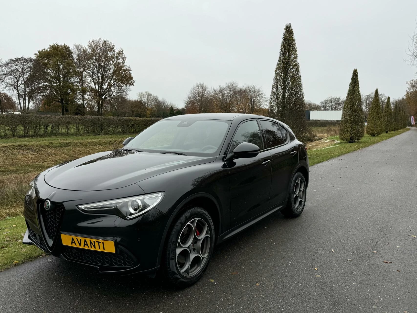 Hoofdafbeelding Alfa Romeo Stelvio