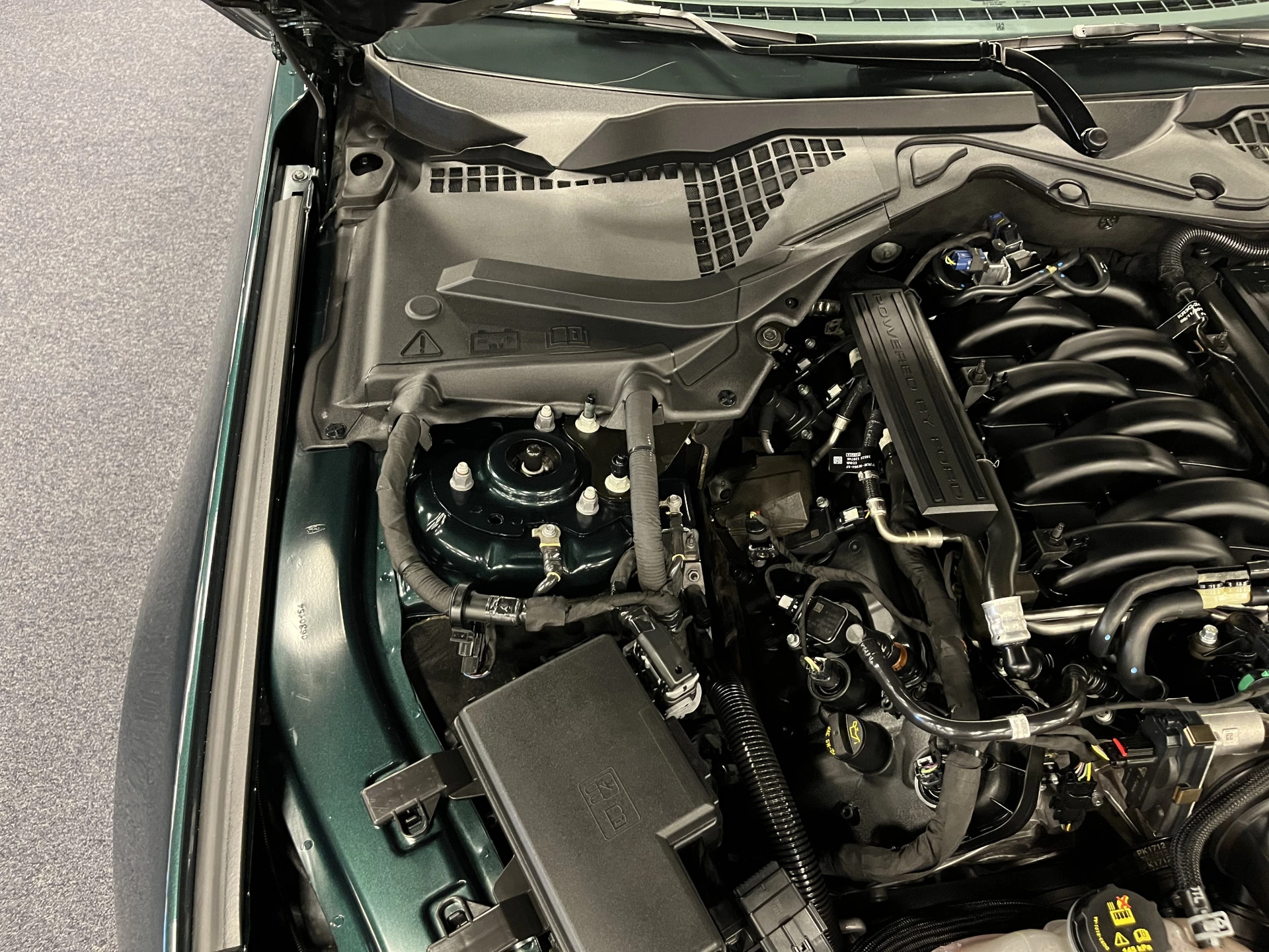 Hoofdafbeelding Ford Mustang