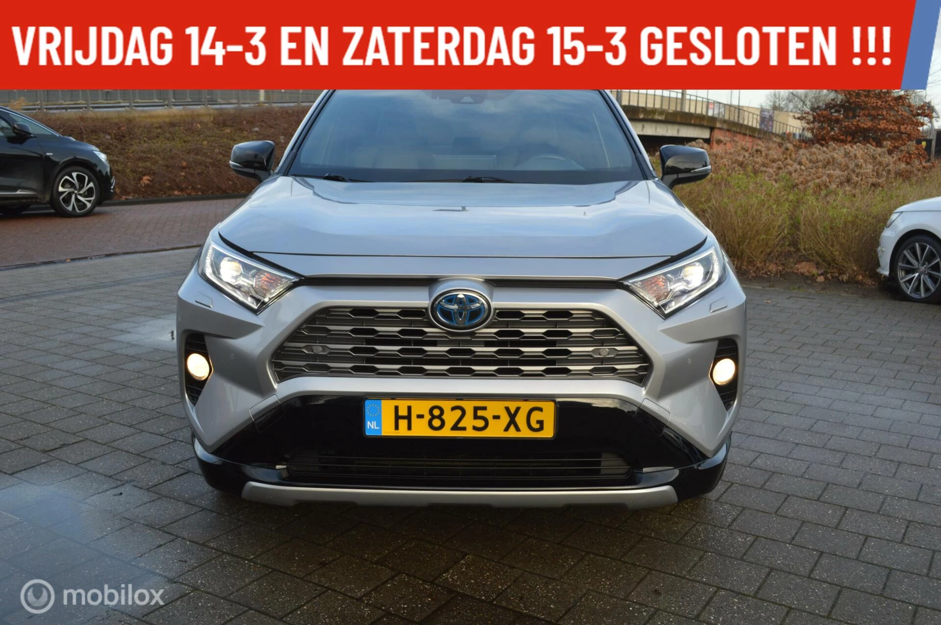 Hoofdafbeelding Toyota RAV4