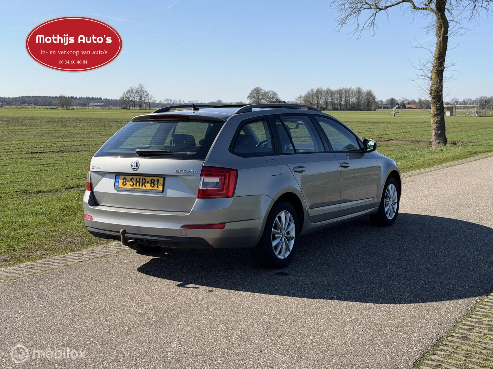 Hoofdafbeelding Škoda Octavia