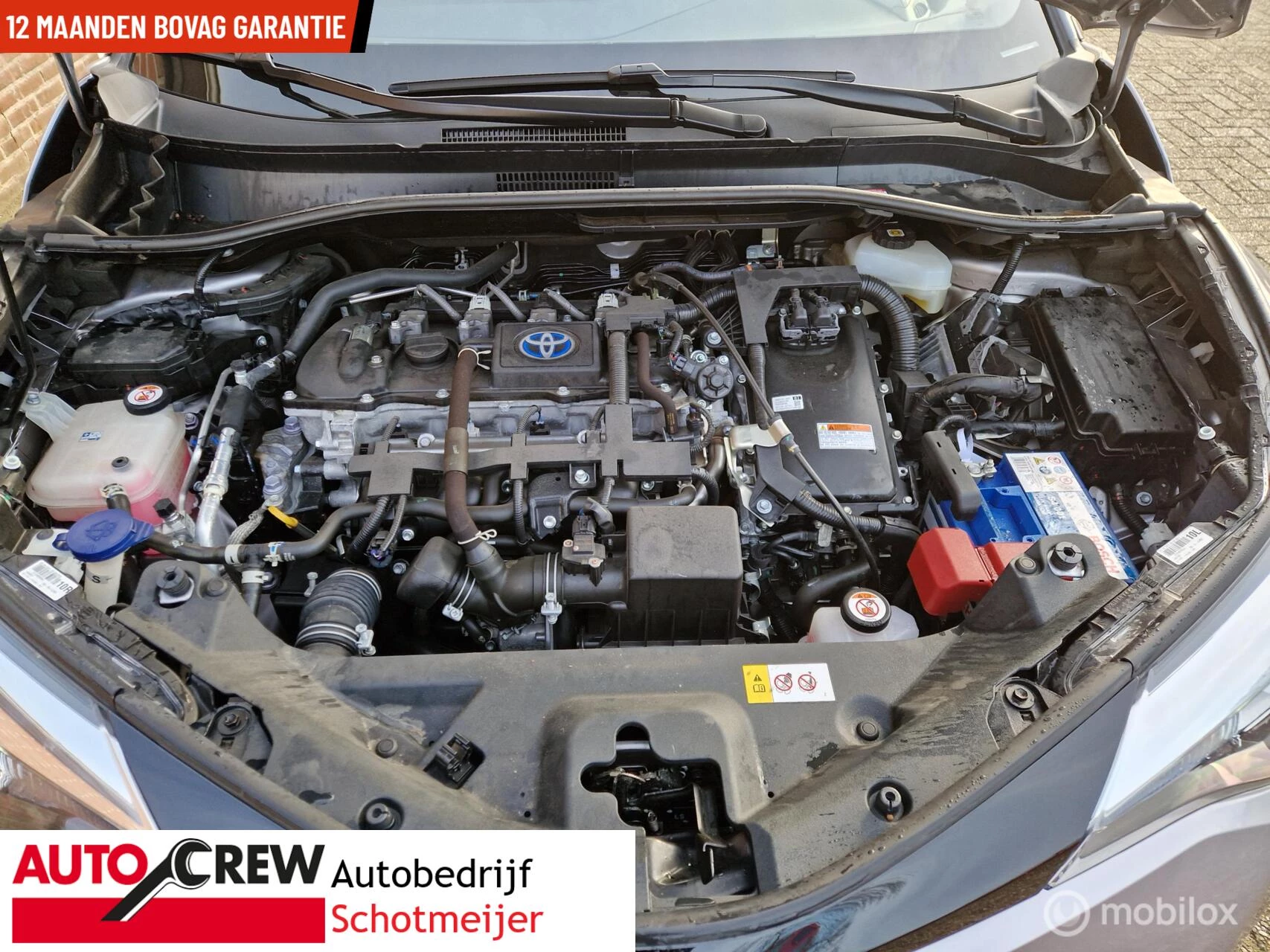 Hoofdafbeelding Toyota C-HR