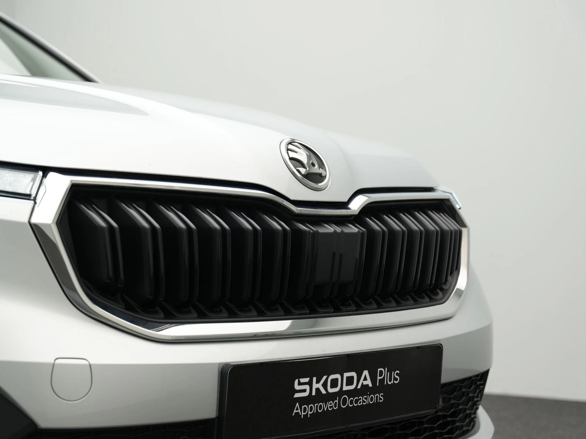 Hoofdafbeelding Škoda Kamiq