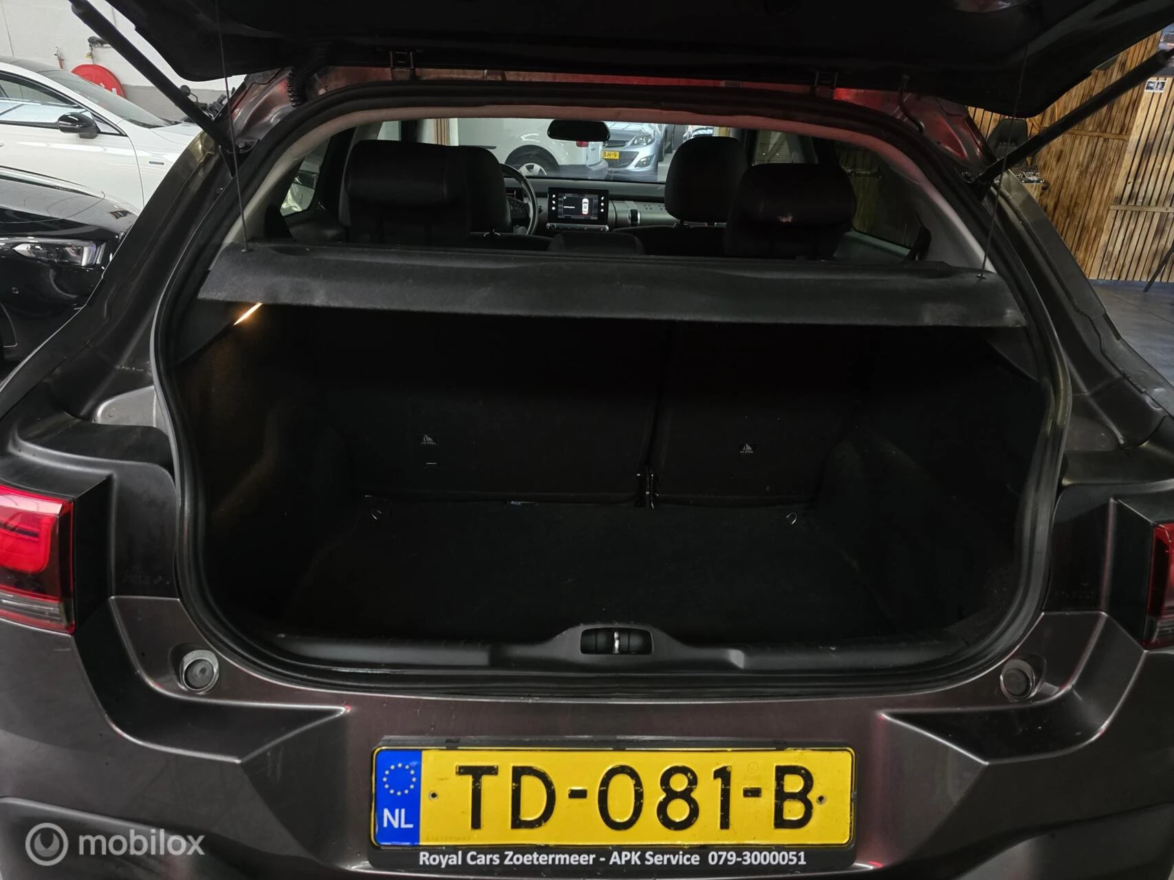 Hoofdafbeelding Citroën C4 Cactus