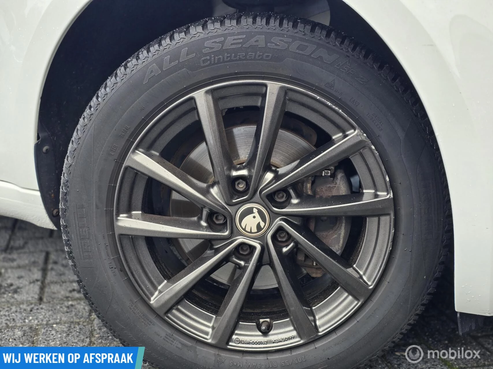 Hoofdafbeelding Škoda Octavia