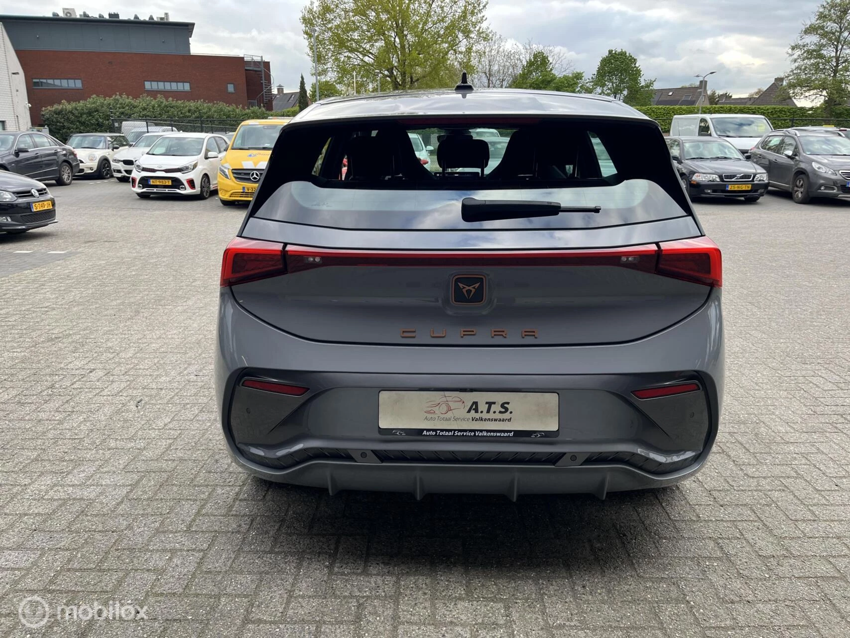 Hoofdafbeelding CUPRA Born