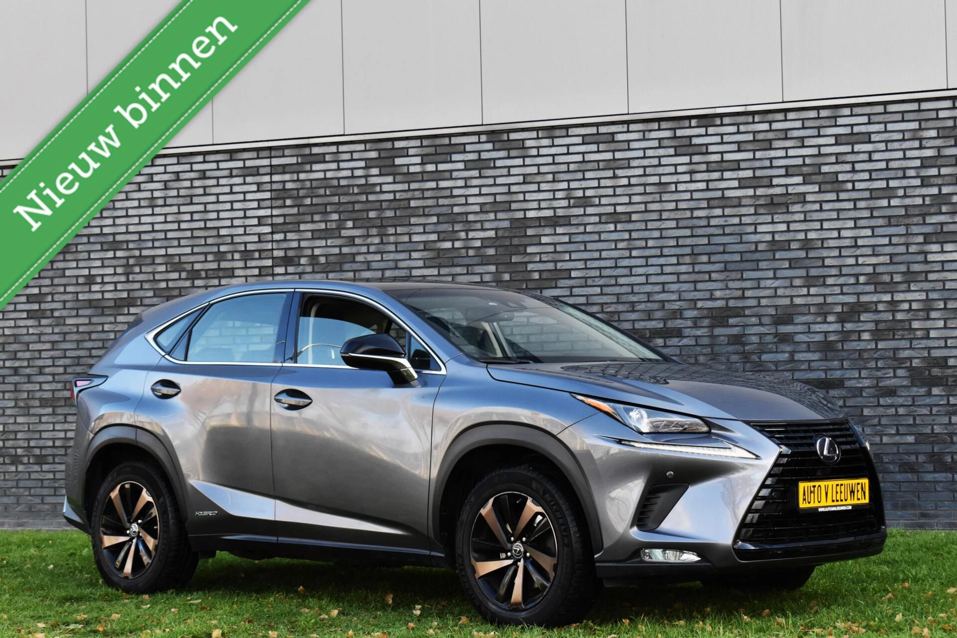 Hoofdafbeelding Lexus NX