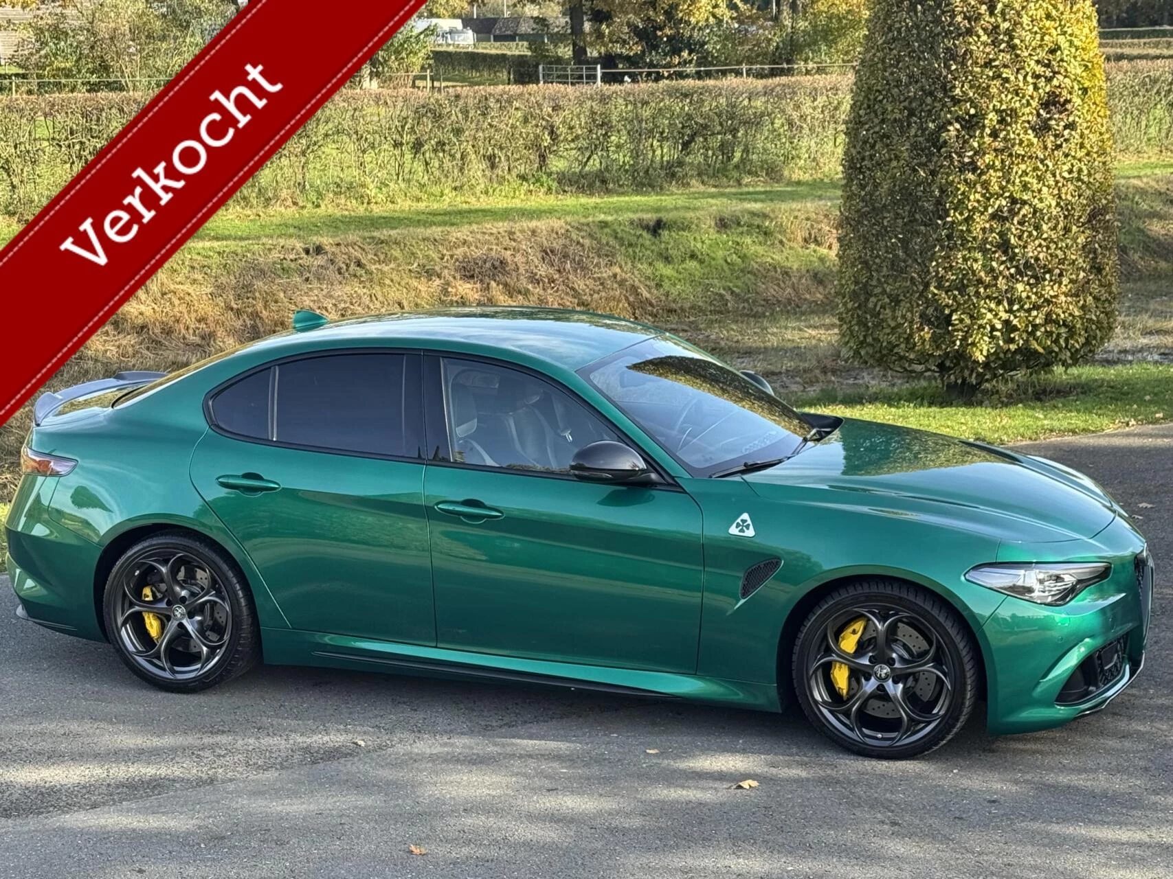 Hoofdafbeelding Alfa Romeo Giulia