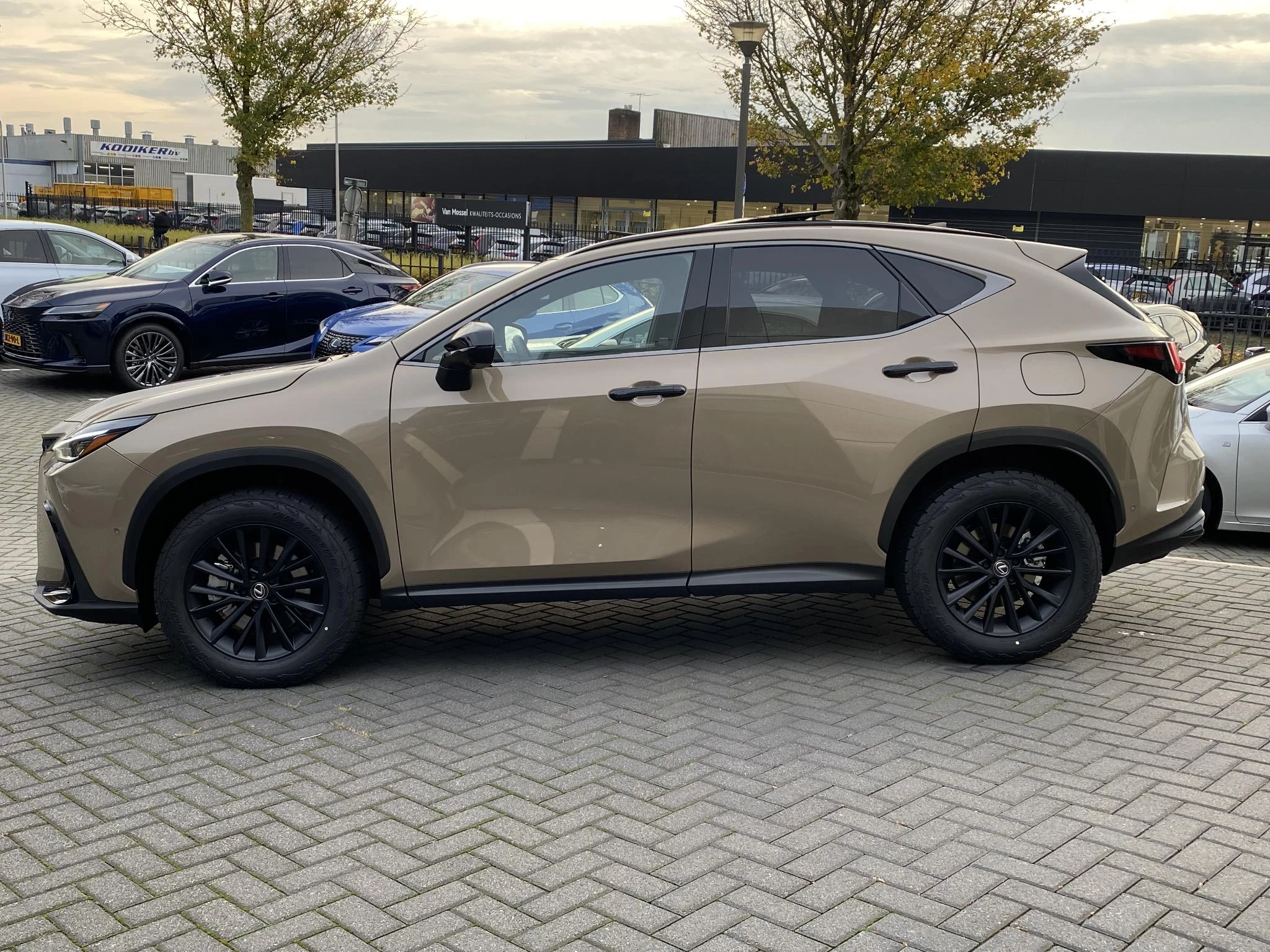 Hoofdafbeelding Lexus NX