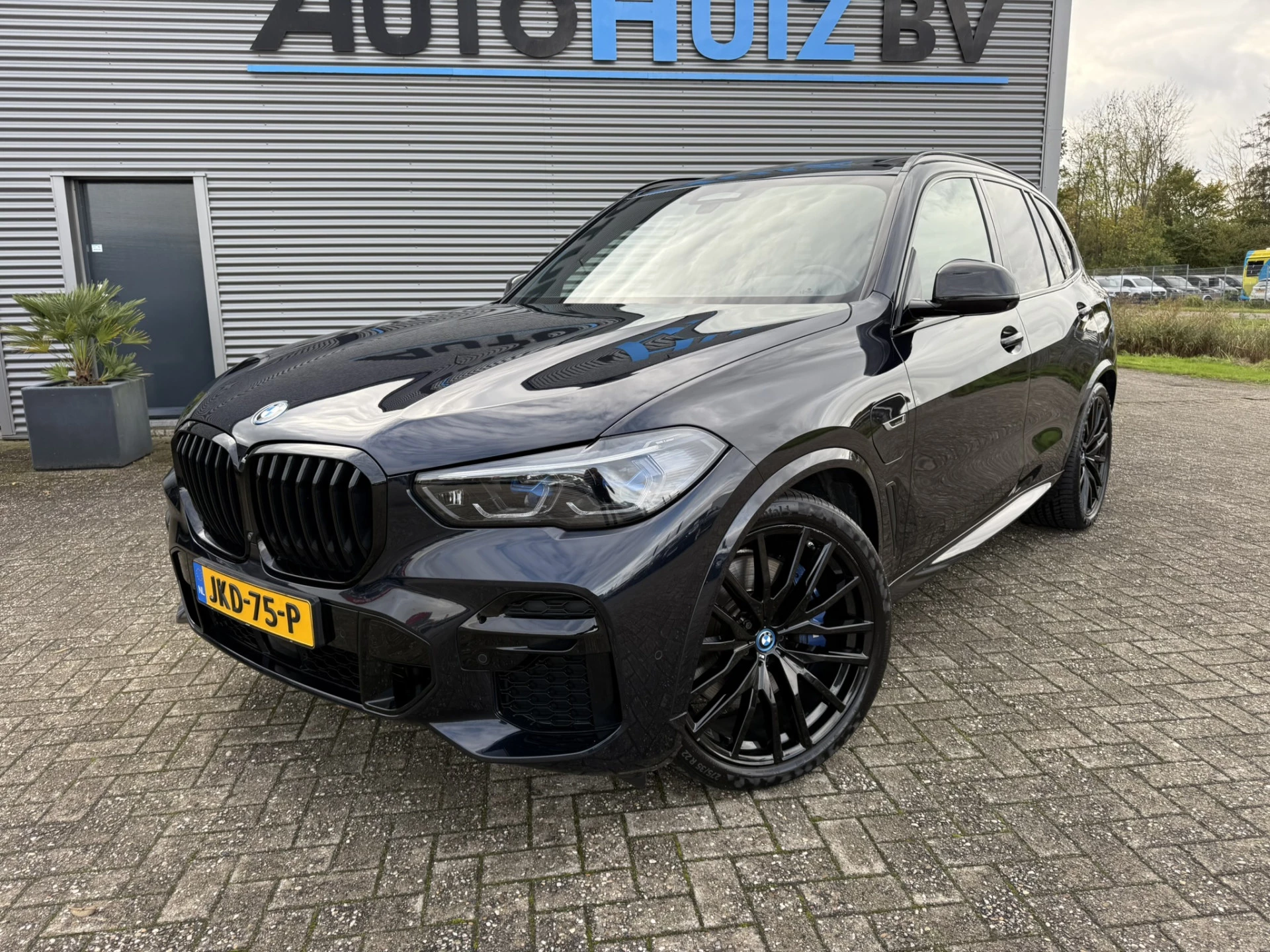 Hoofdafbeelding BMW X5